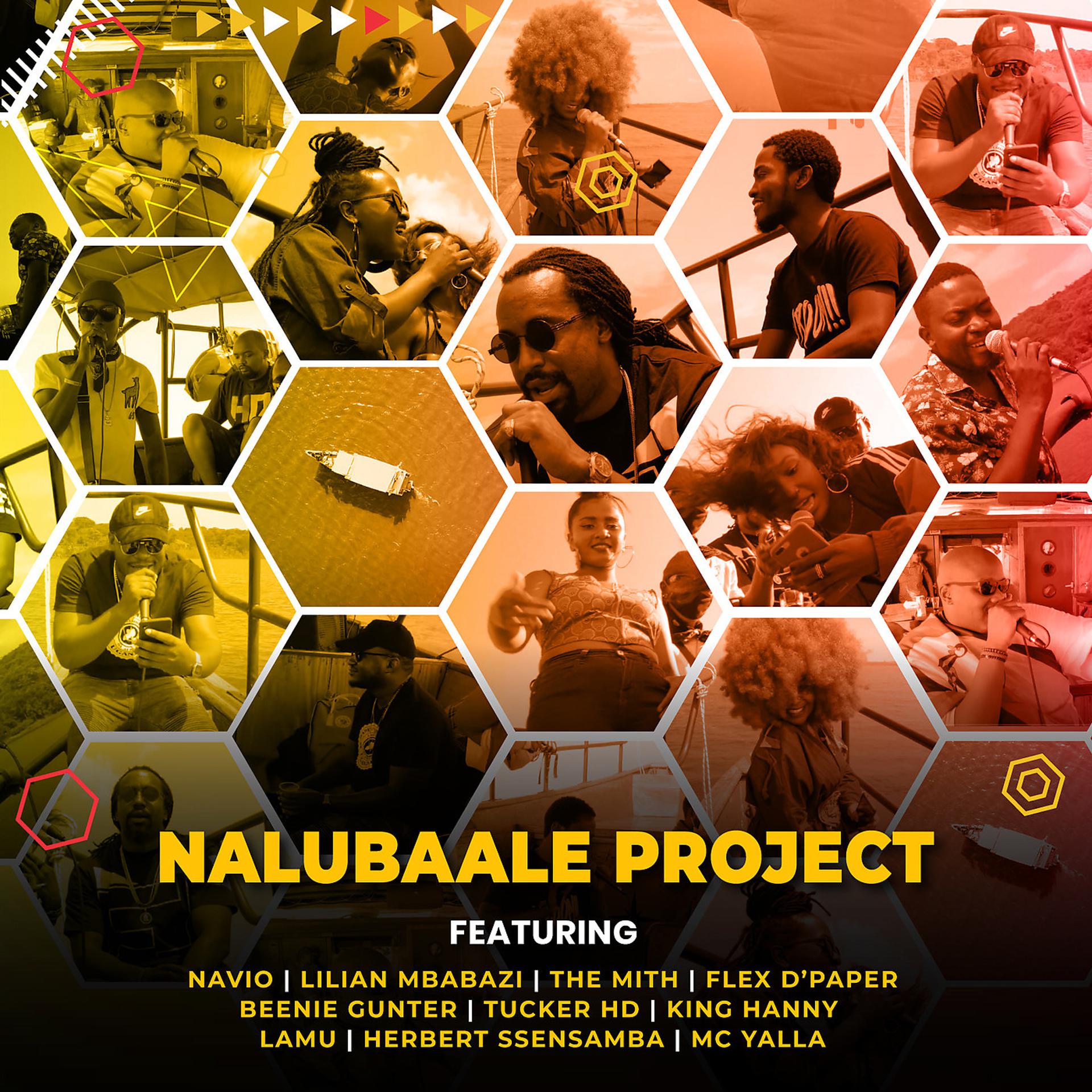 Постер альбома Nalubaale Project