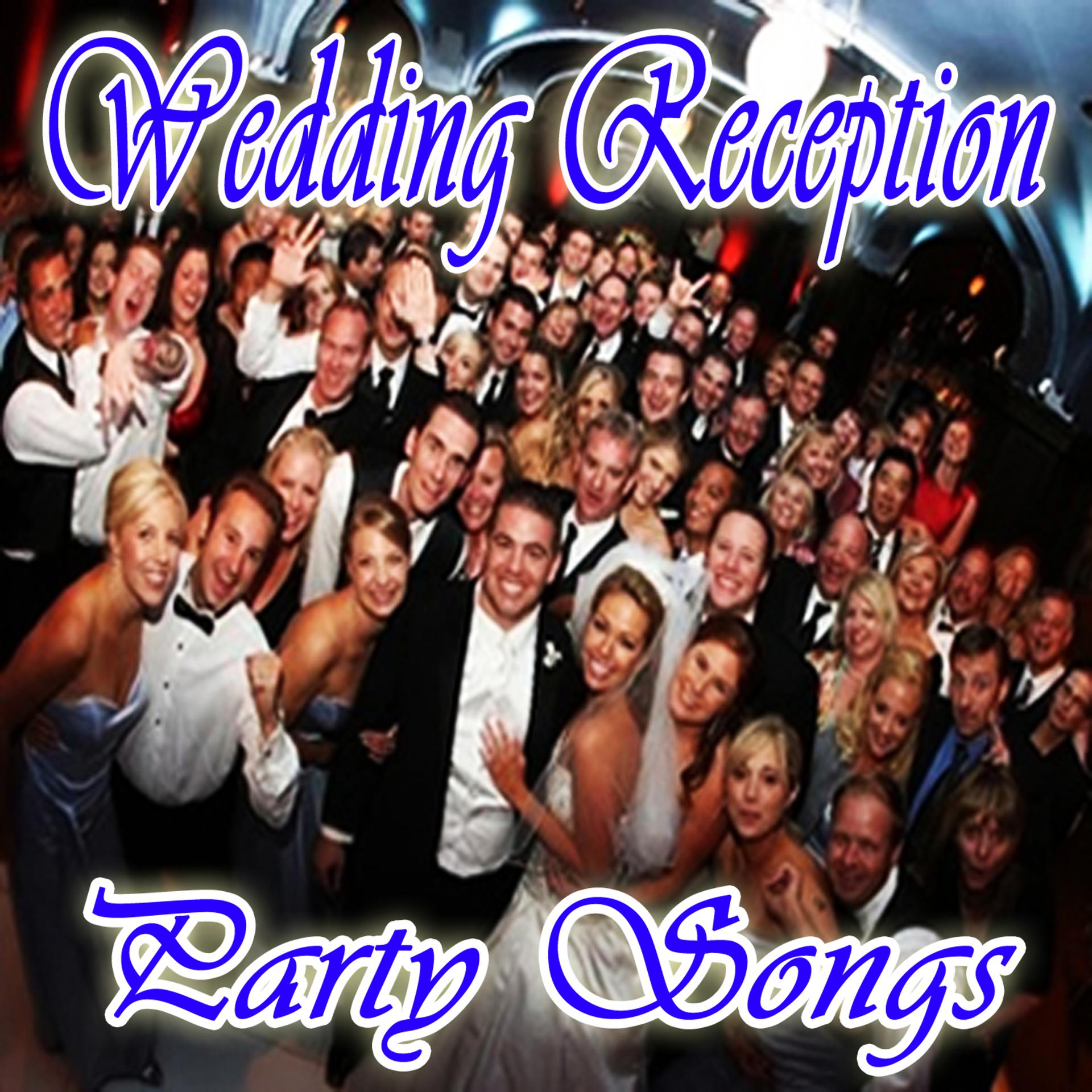 Постер альбома Wedding Reception Party Songs (Salutes)