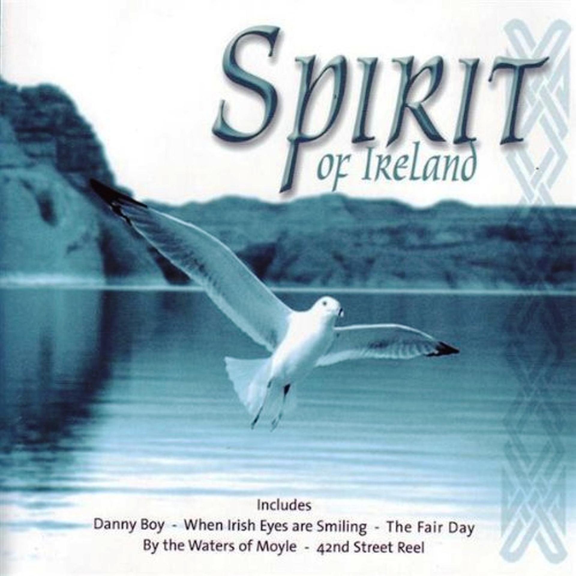 Постер альбома Spirit of Ireland