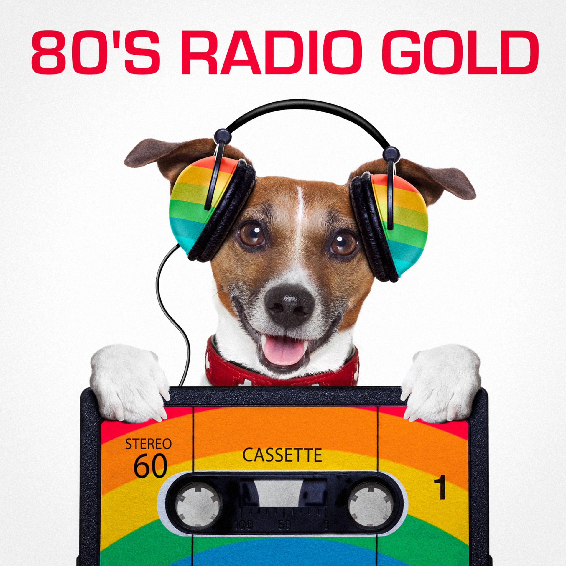 Постер альбома 80's Radio Gold (The Best of Radio Classics from the Eighties)