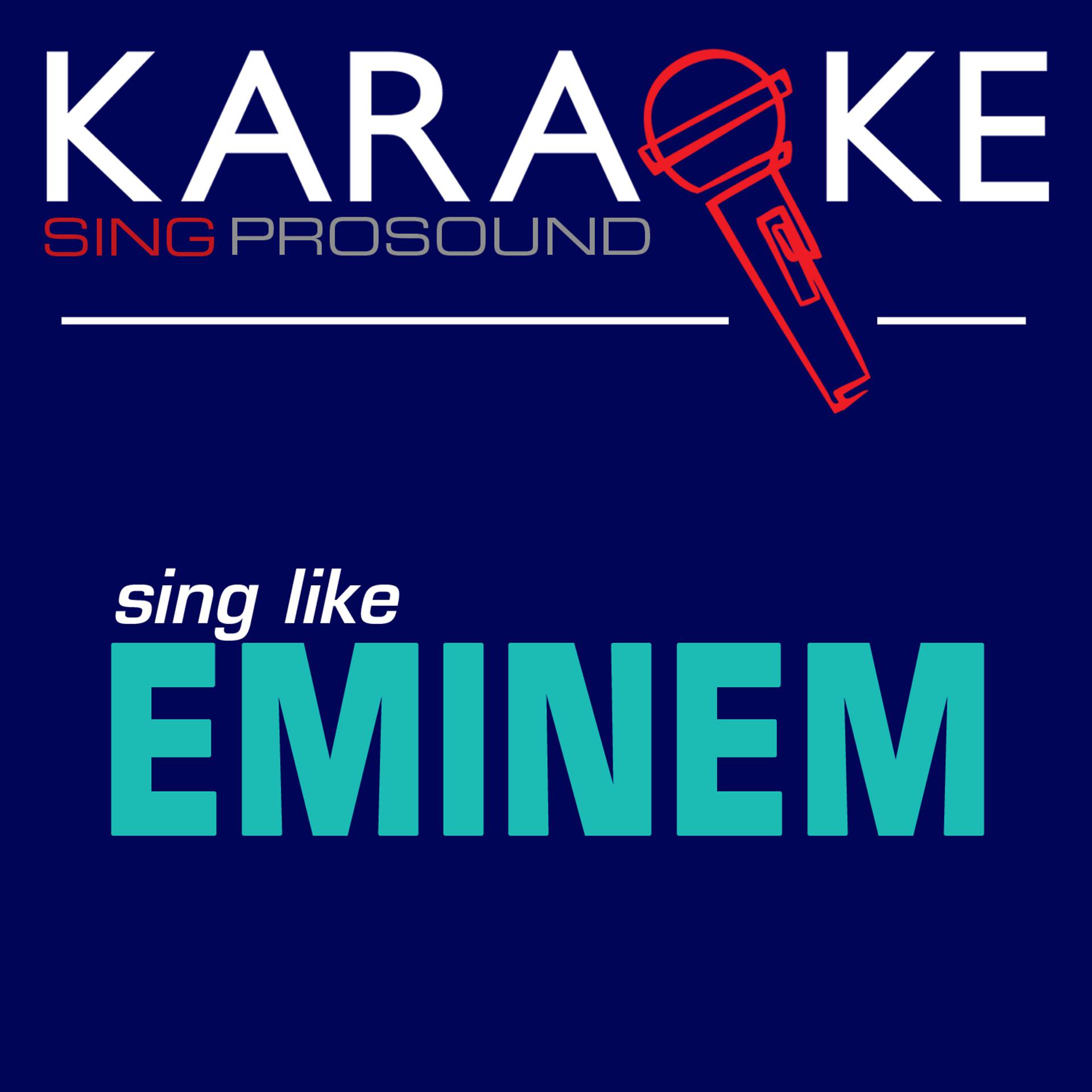 Постер альбома Karaoke in the Style of Eminem