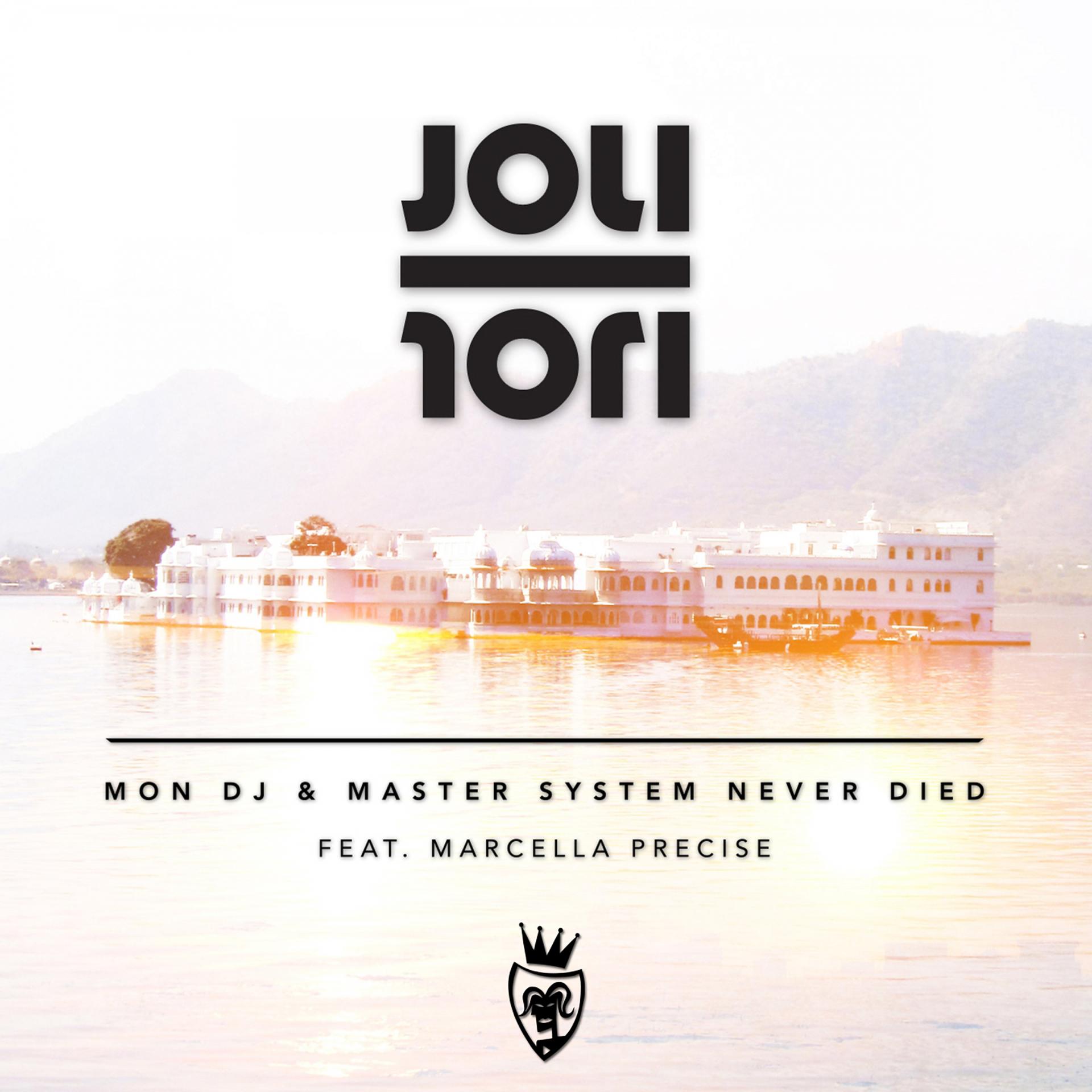 Постер альбома Joli