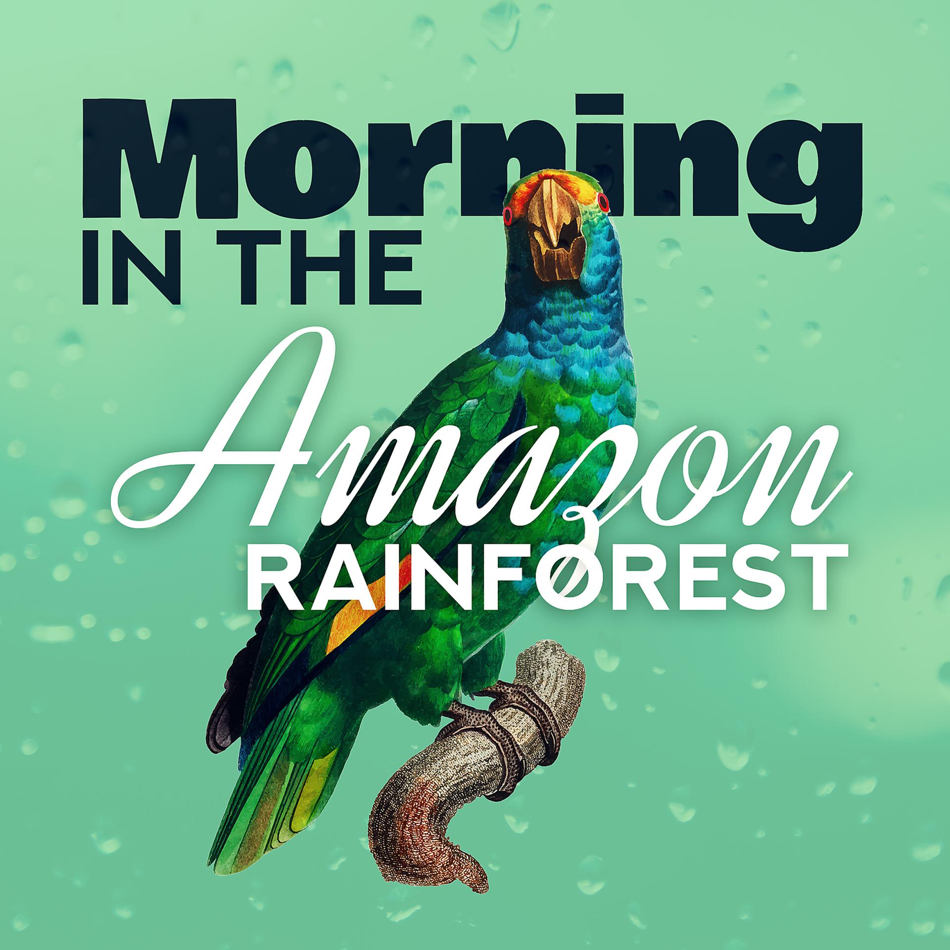 Постер альбома Morning in the Amazon Rainforest: Beautiful Sounds of Green Soul of Nature, Journey to the Jungle
