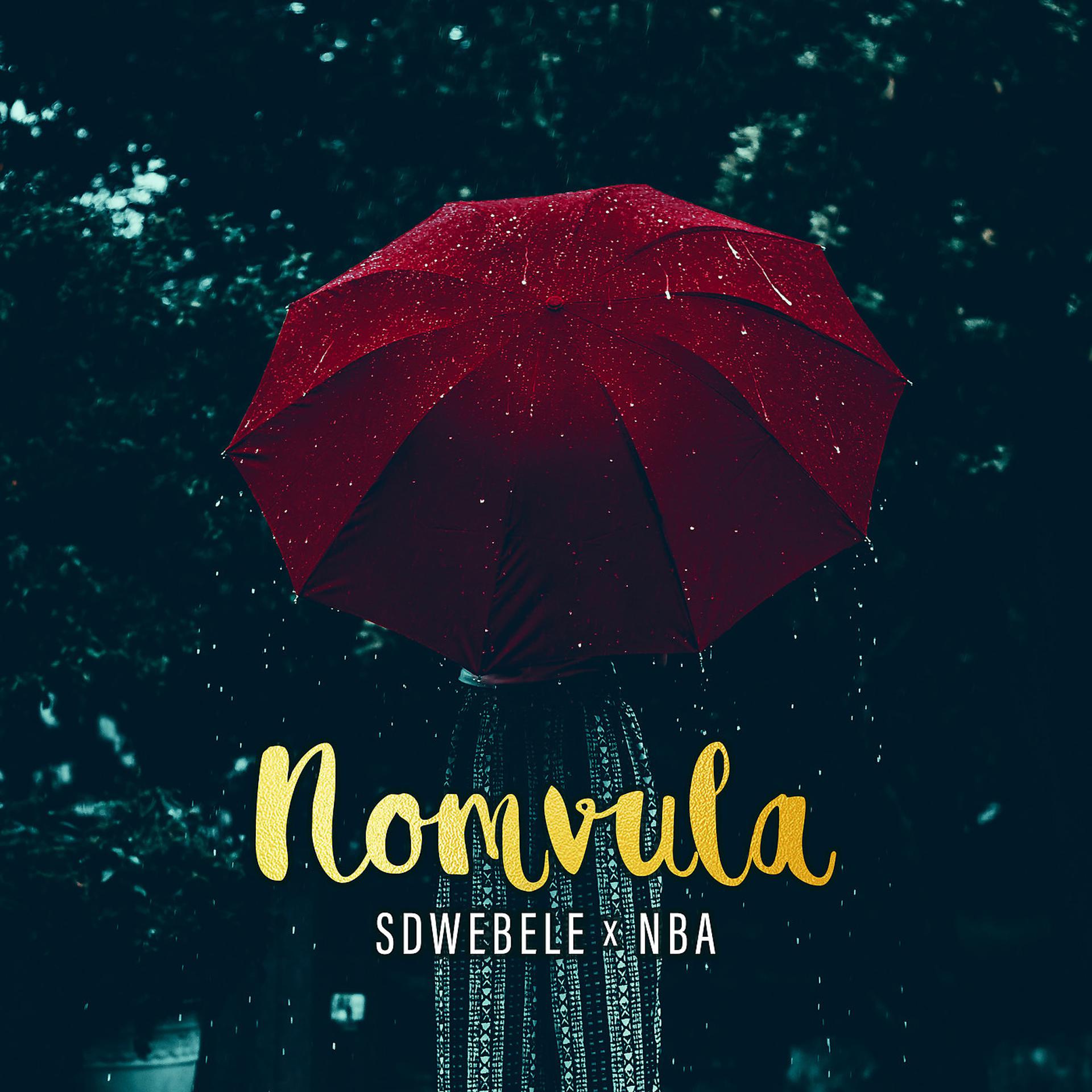 Постер альбома Nomvula
