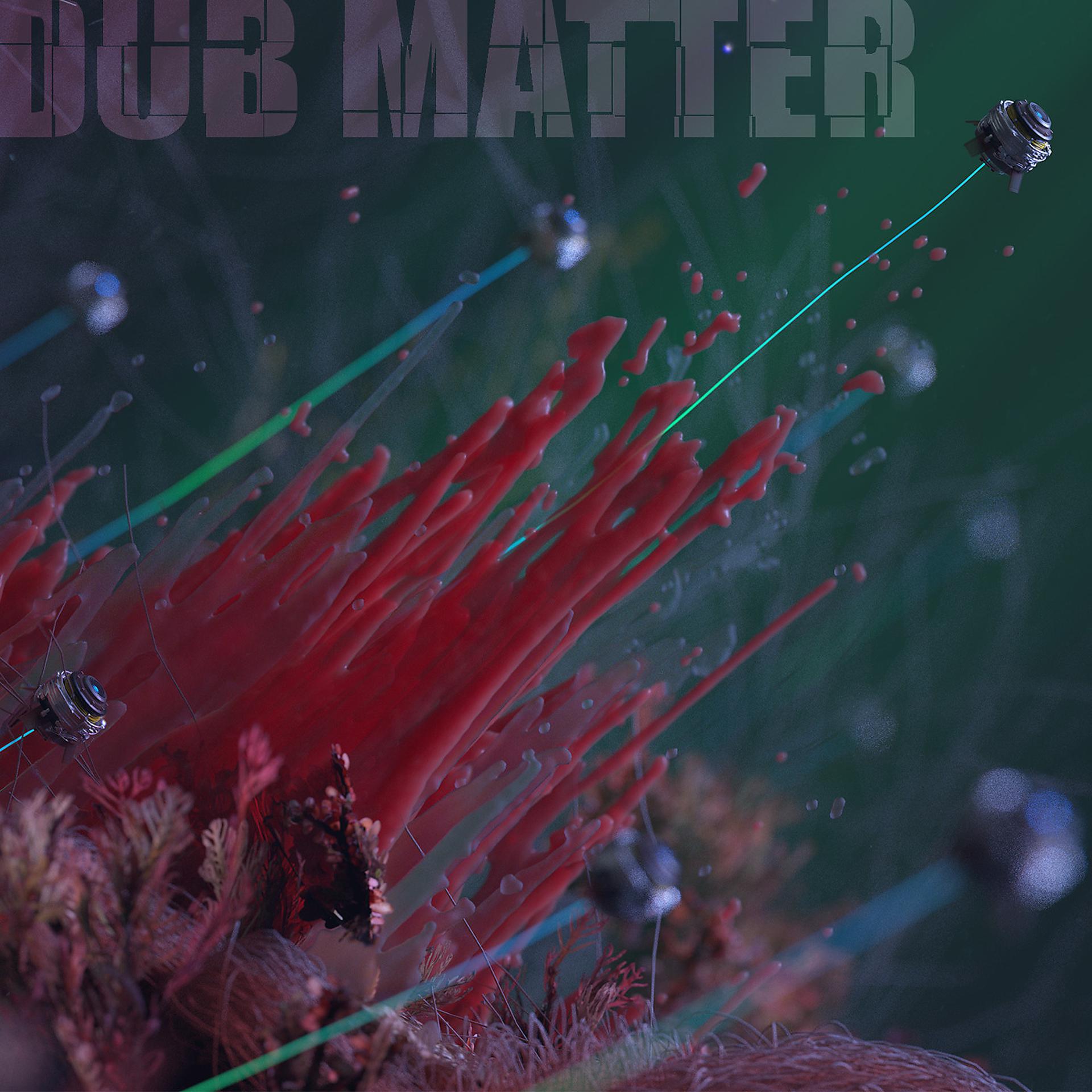 Постер альбома Dub Matter