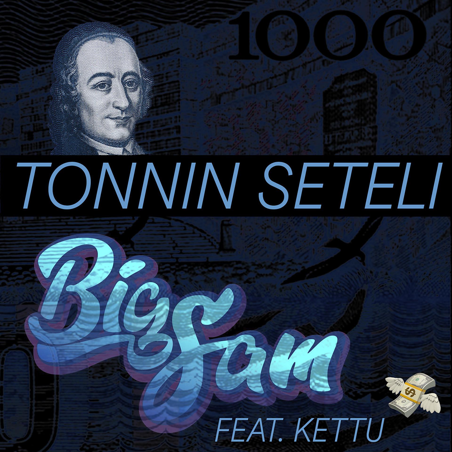 Постер альбома Tonnin Seteli