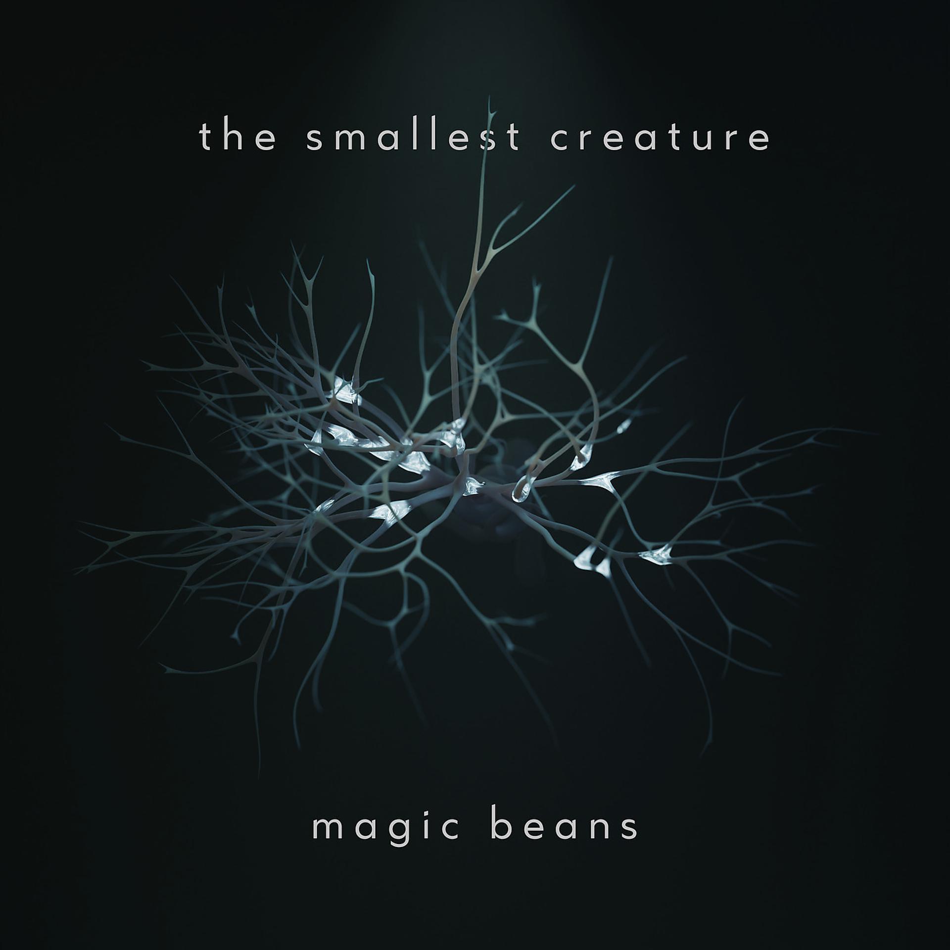 Постер альбома Magic Beans