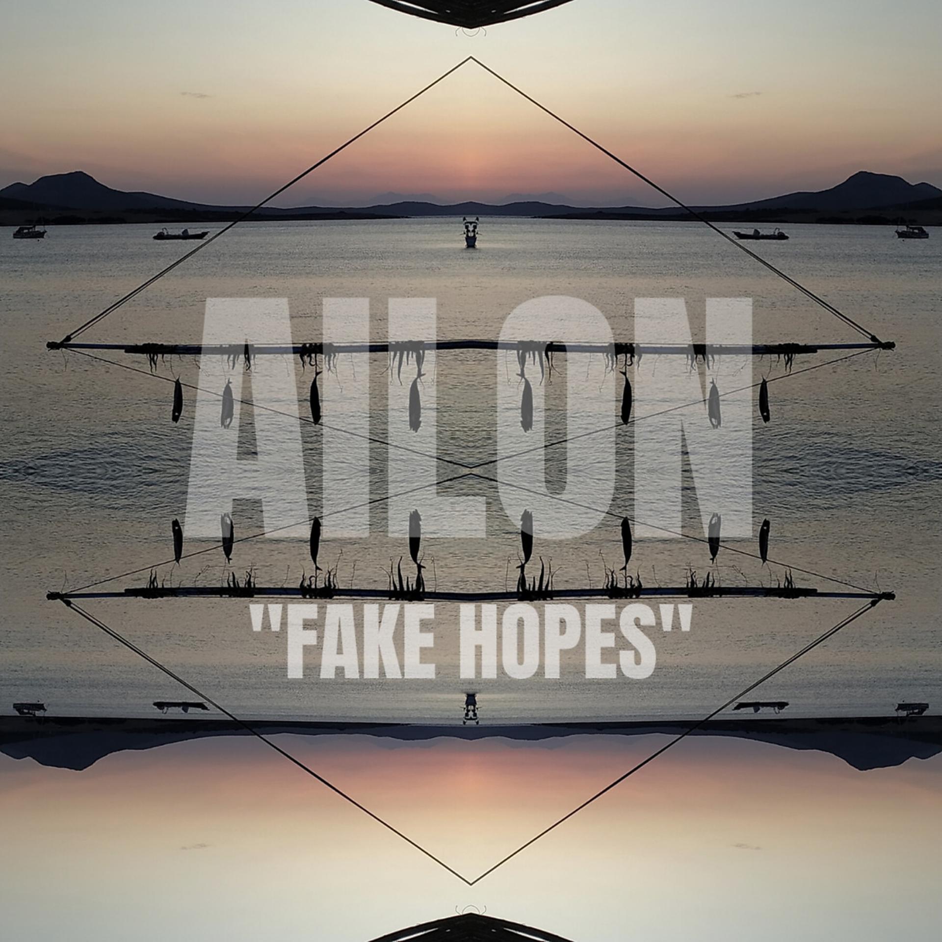 Постер альбома Fake Hopes