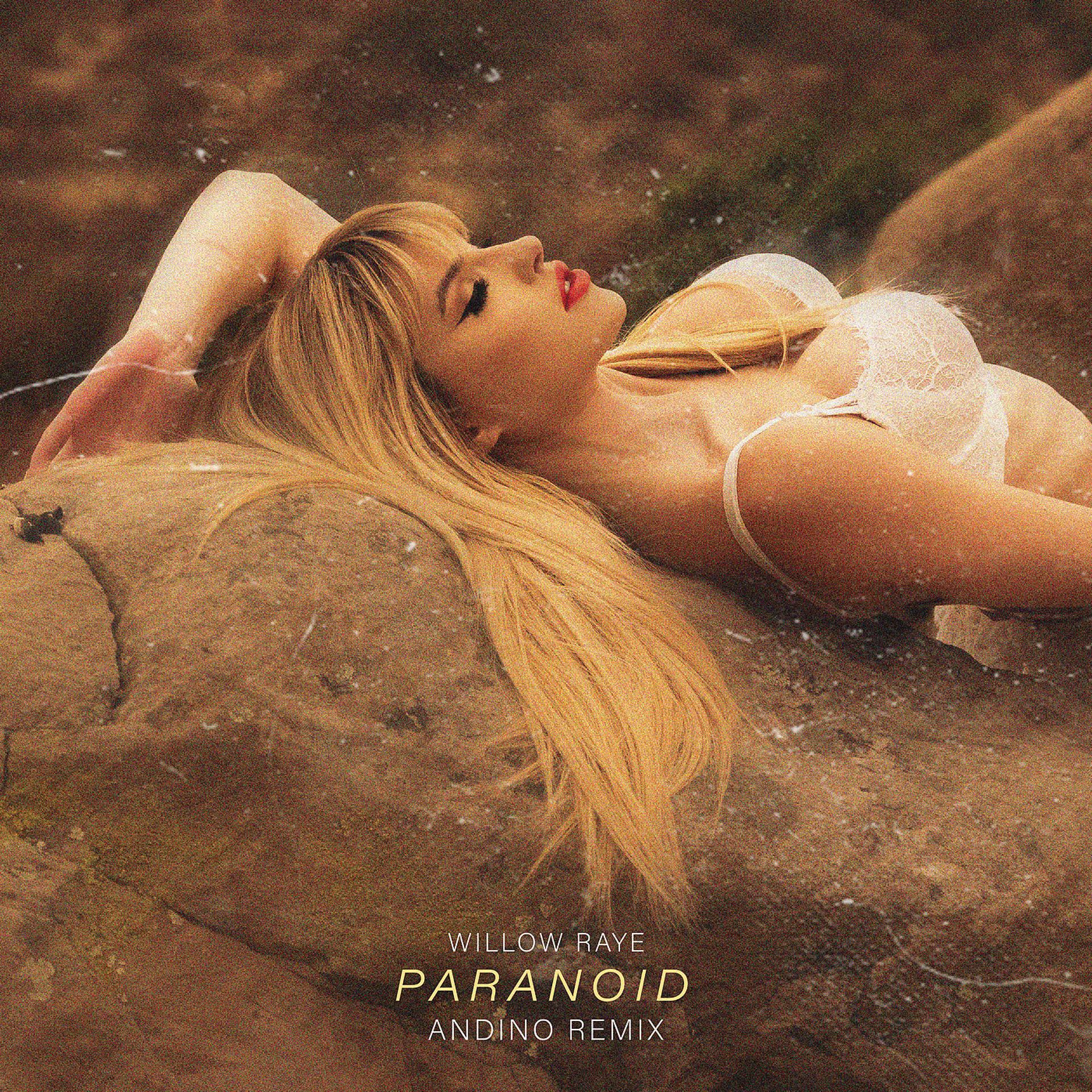 Постер альбома Paranoid (Remix)