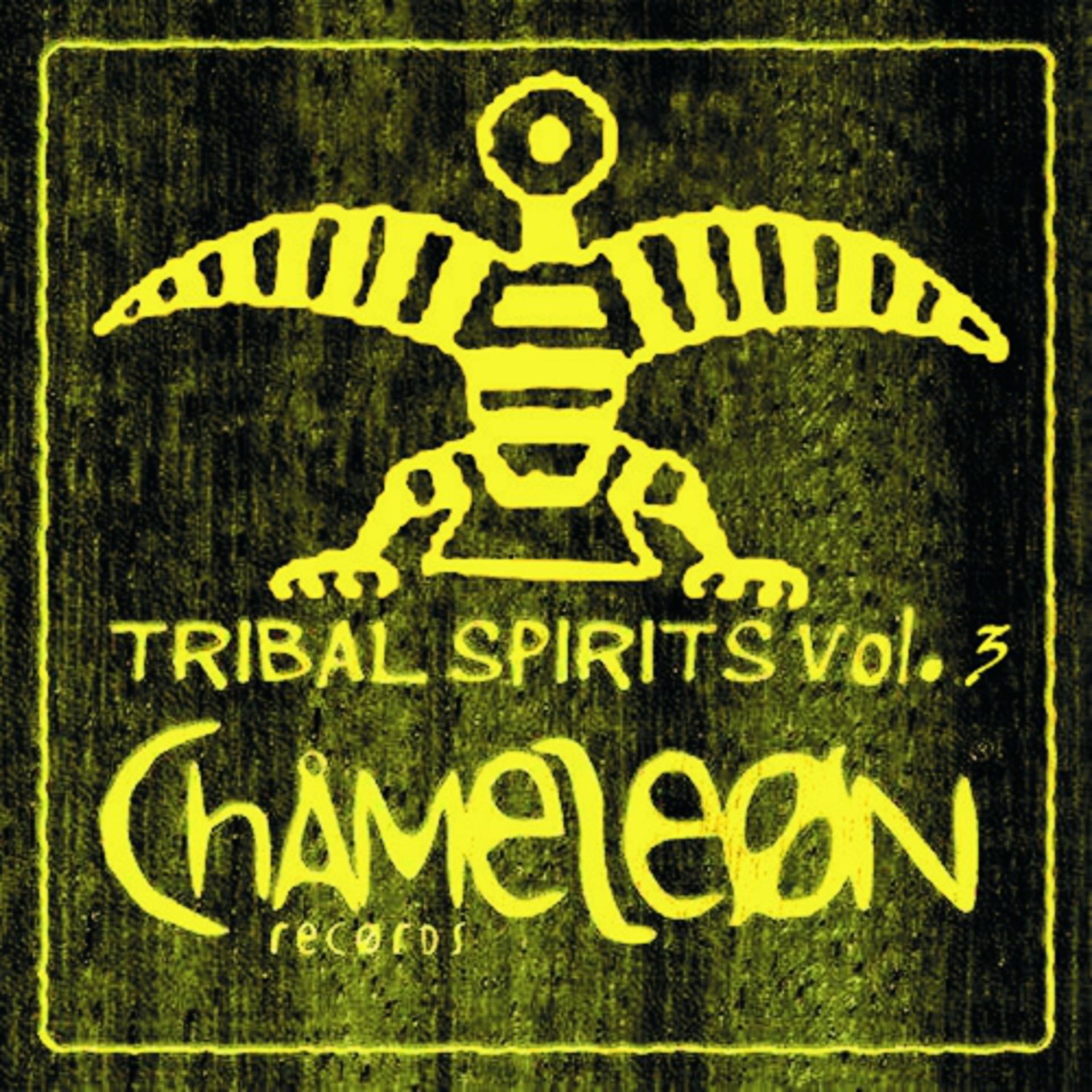 Постер альбома Tribal Spirits, Vol. 3