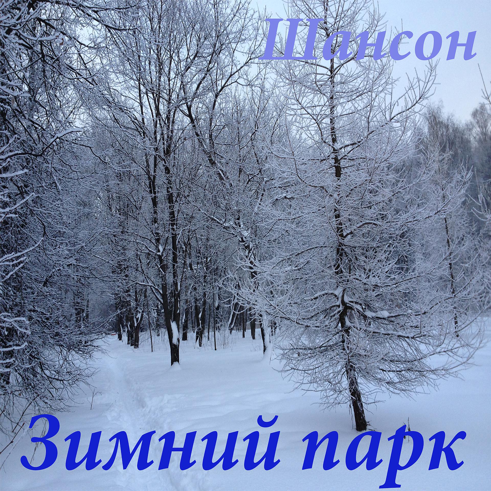 Постер альбома Зимний парк