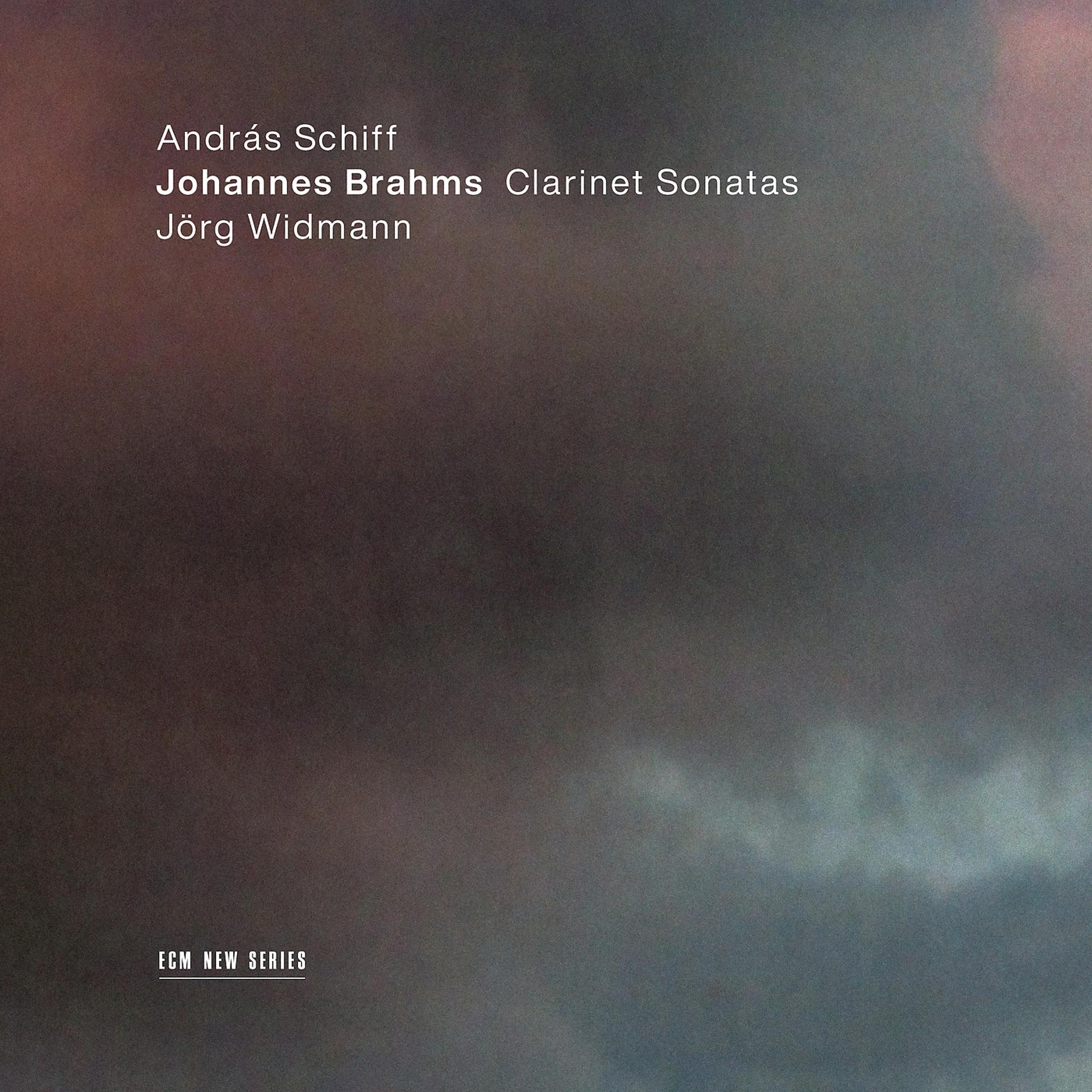 Постер альбома Johannes Brahms: Clarinet Sonatas