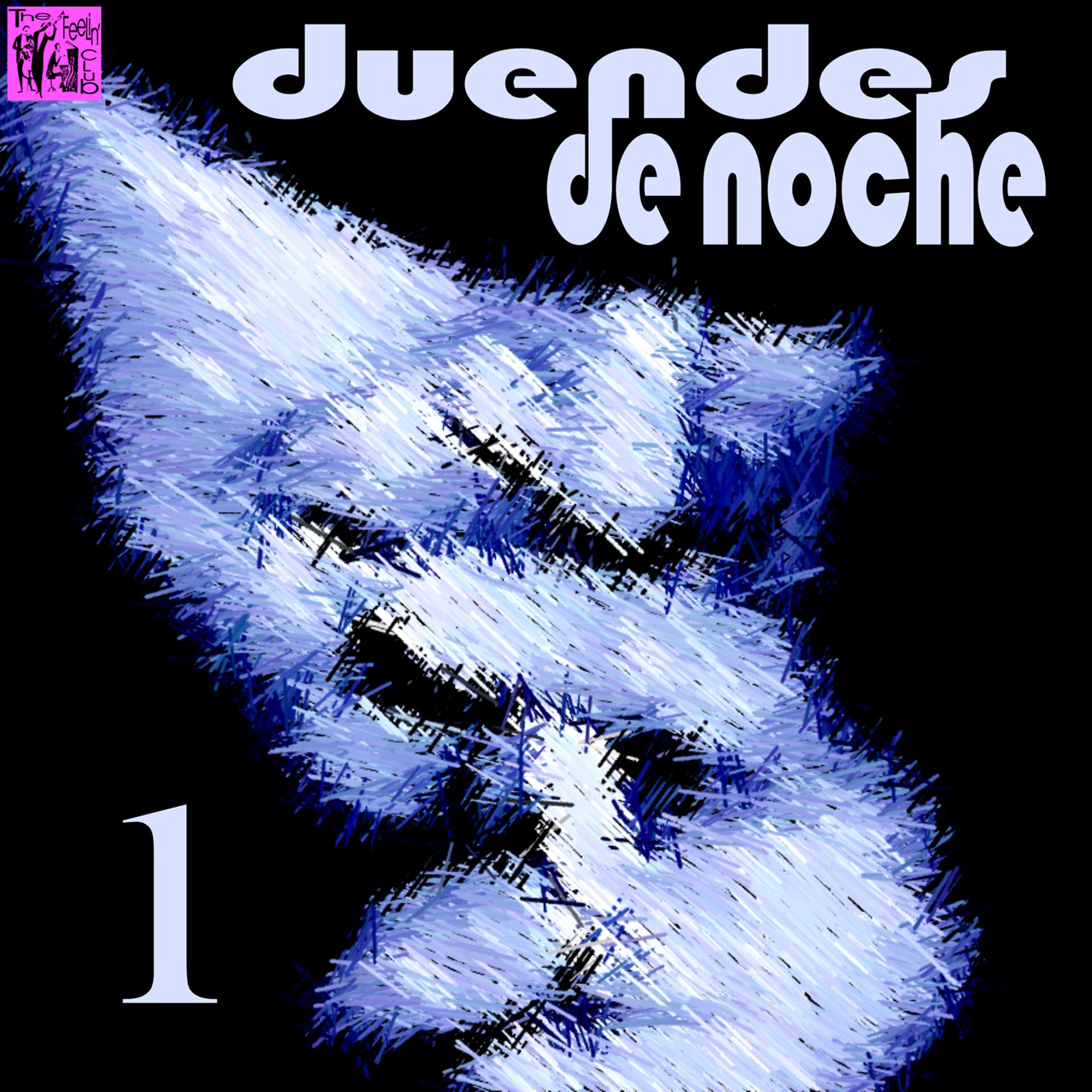 Постер альбома Duendes de Noche, Vol.1