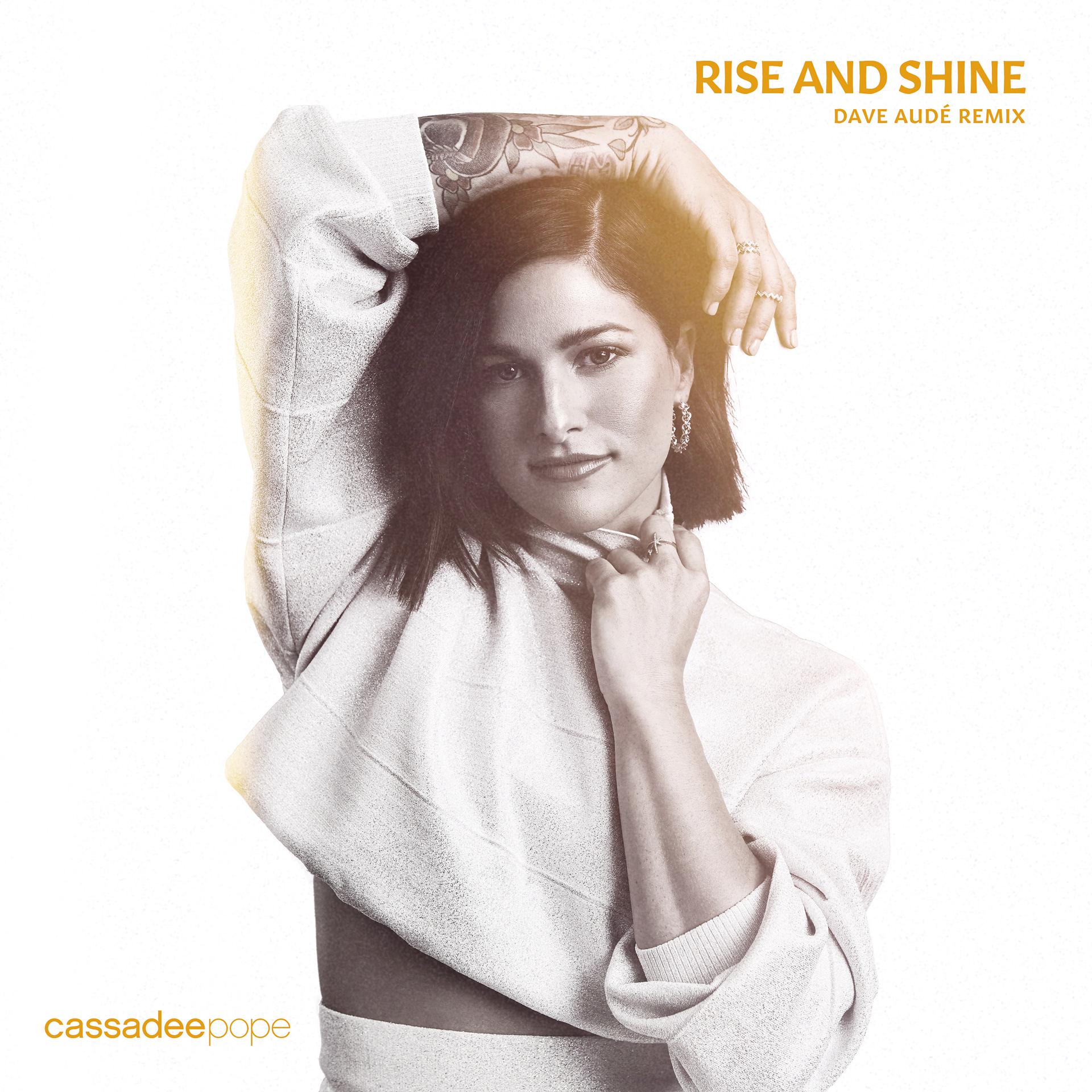 Постер альбома Rise and Shine (Dave Audé Remix)