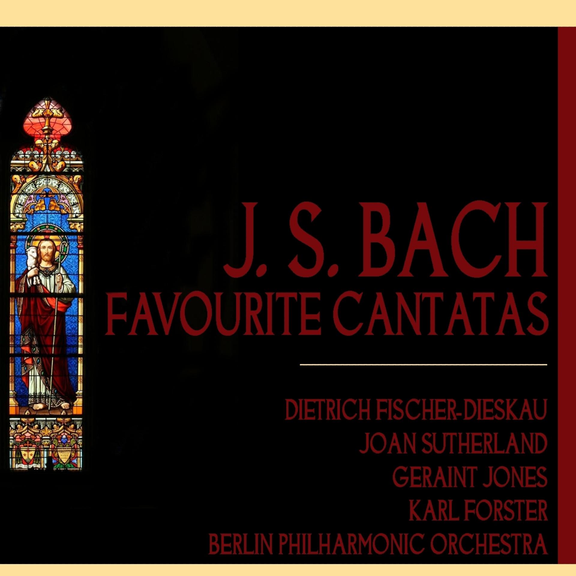 Постер альбома Bach: Favourite Cantatas
