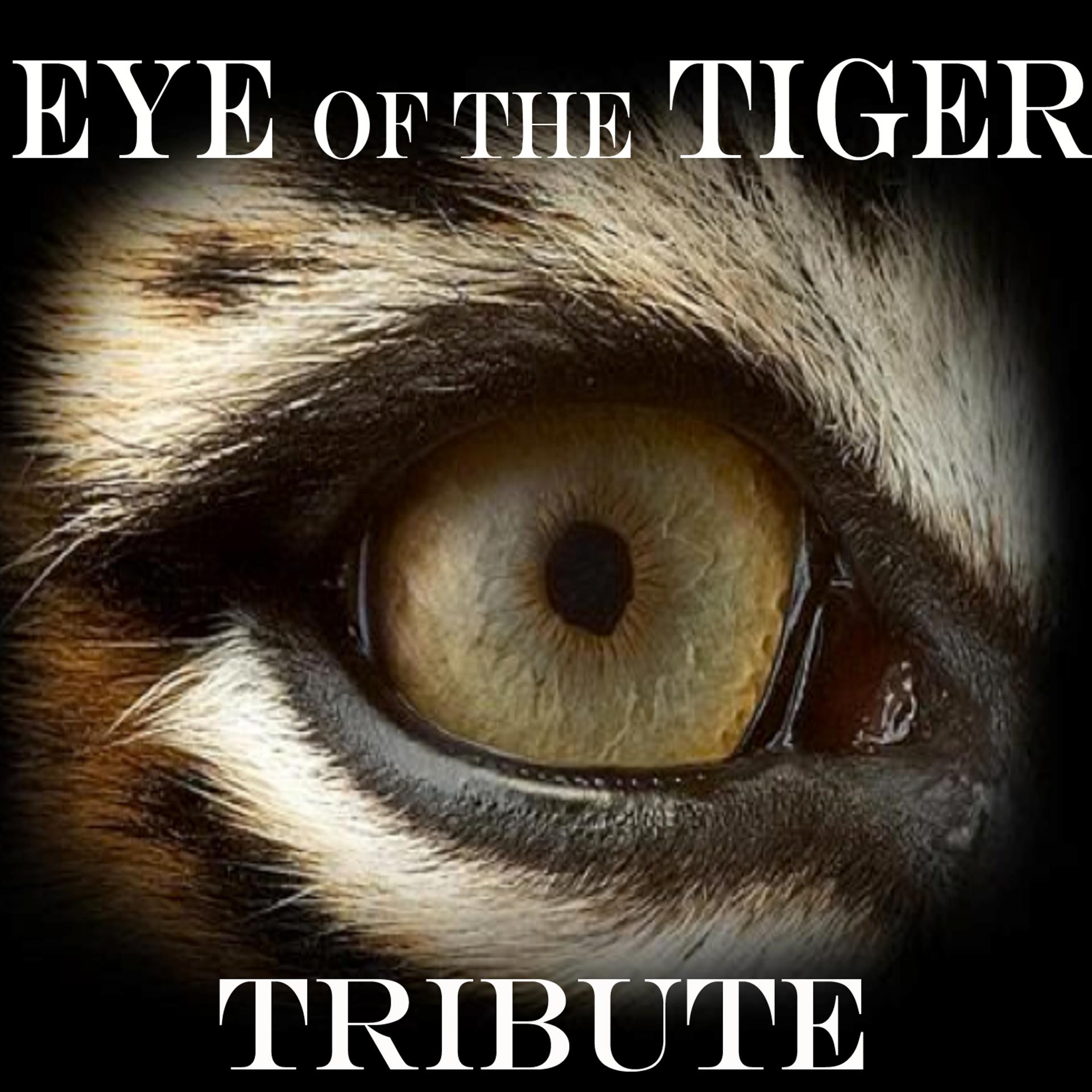 Постер альбома EYE Of The TIGER    [Survivor Tribute]