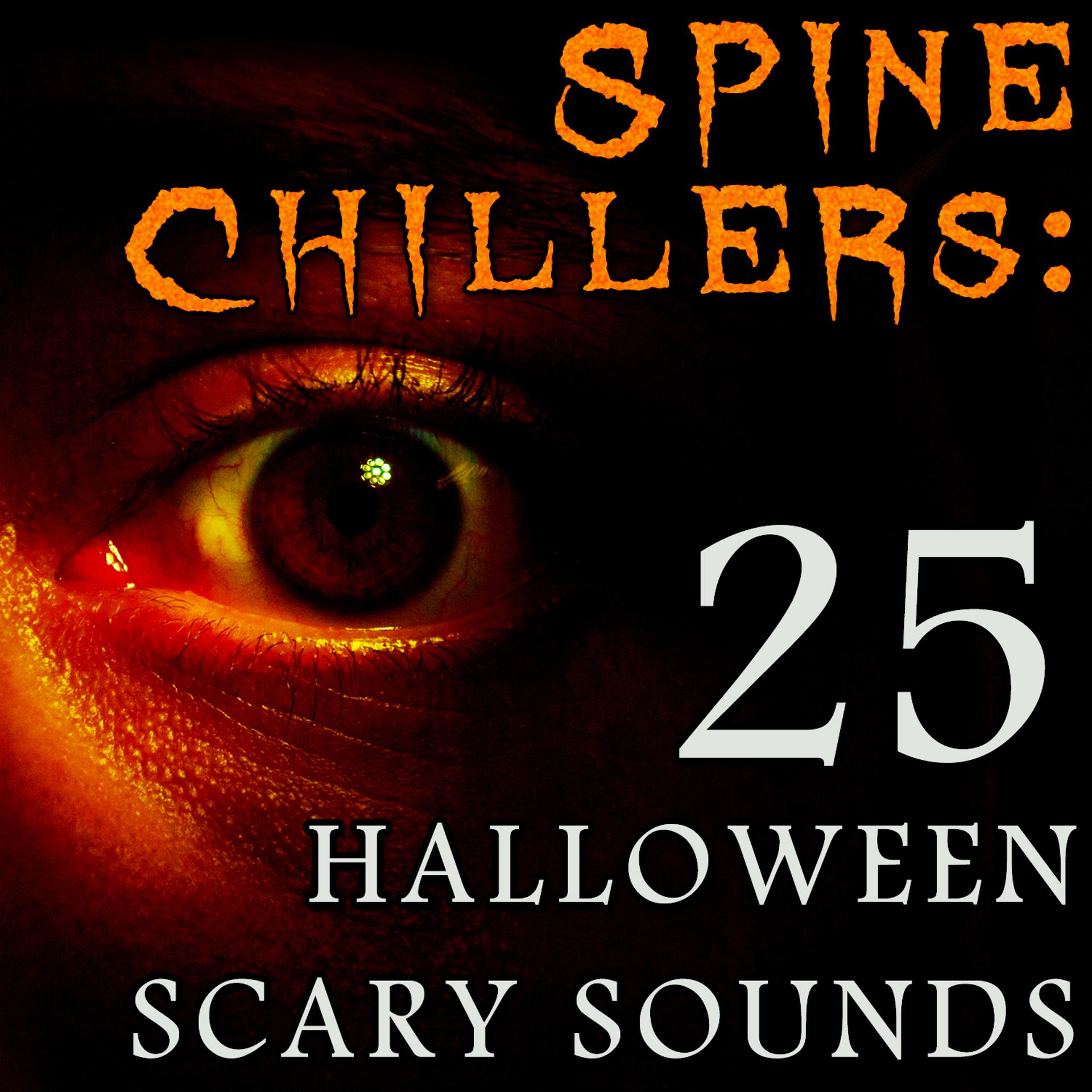 Постер альбома Spine Chillers: 25 Halloween Scary Sounds