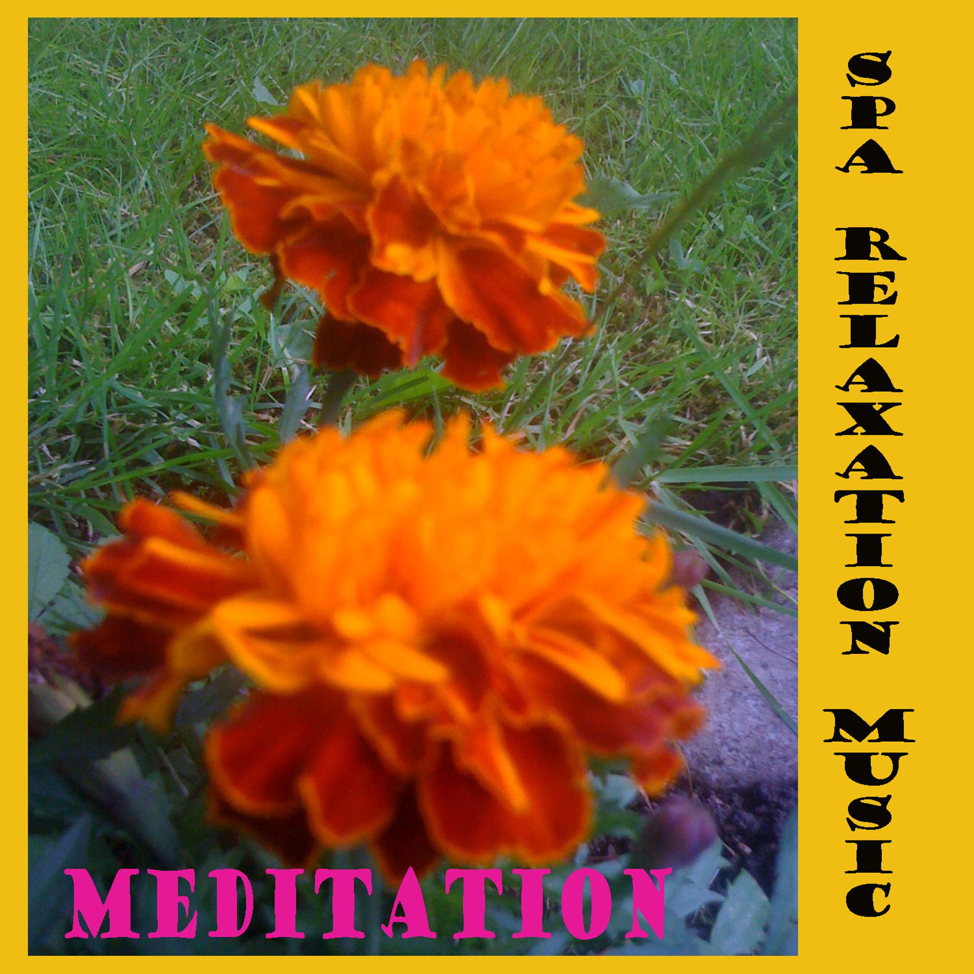 Постер альбома Spa relaxation meditation therapy healing yoga mantra