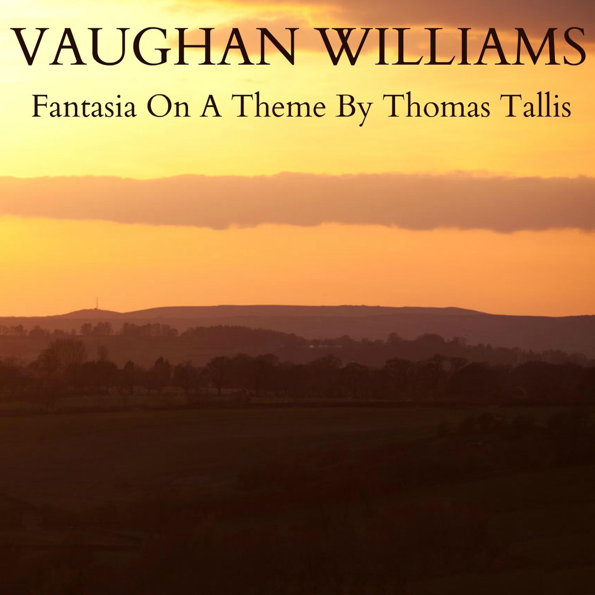 Постер альбома Vaughan Williams - Fantasia on a Theme By Thomas Tallis