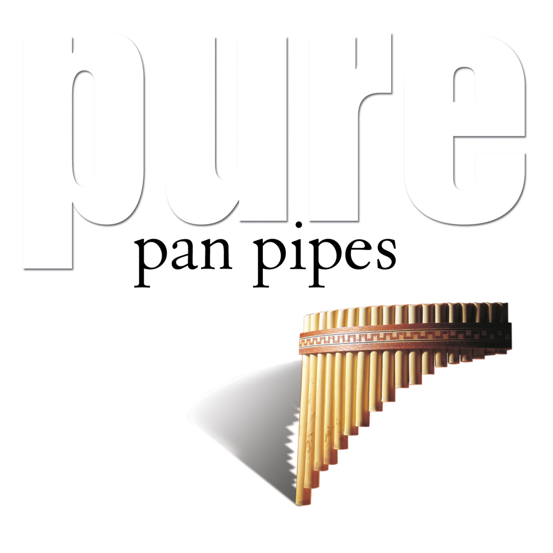 Постер альбома Pure Pan Pipes