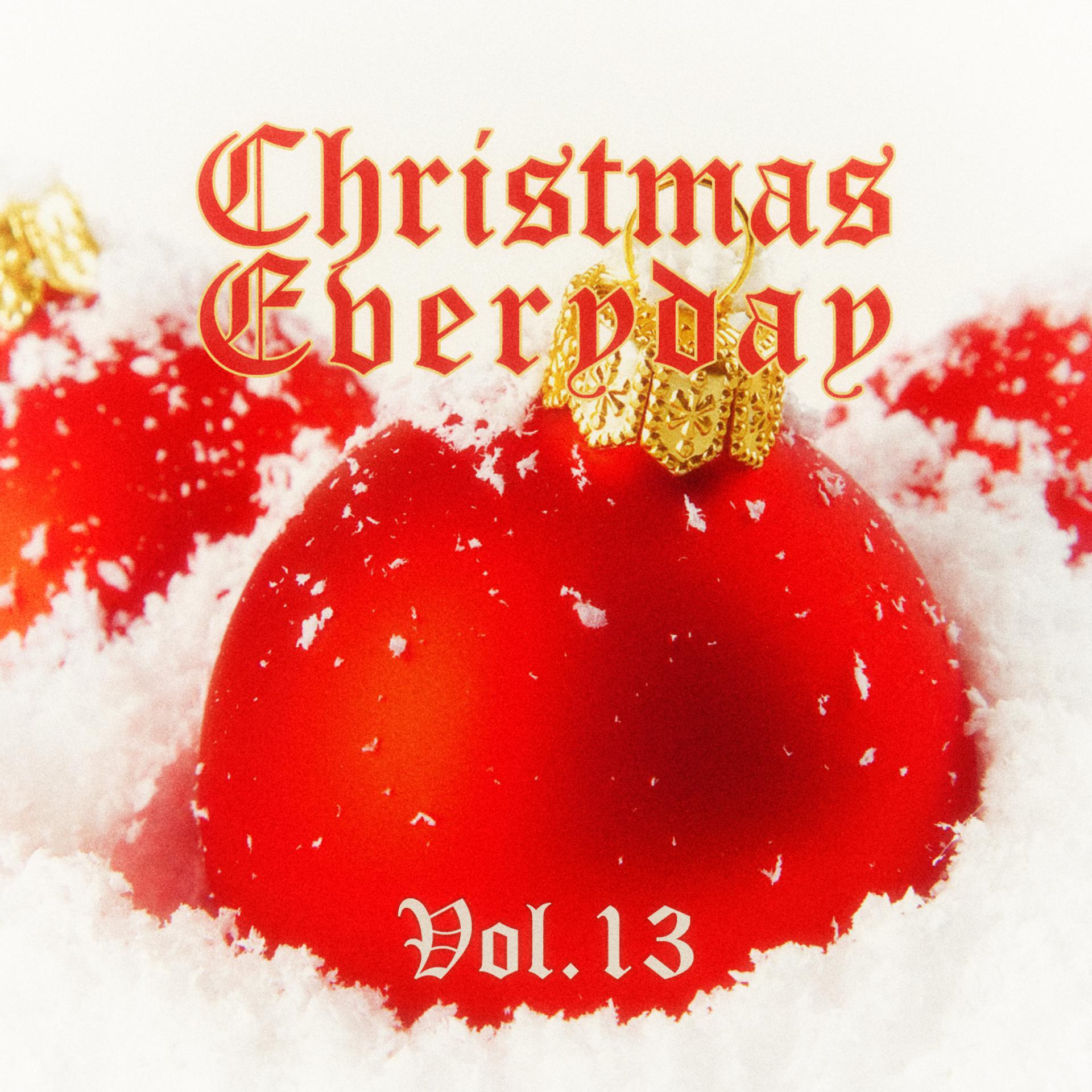 Постер альбома Christmas Everyday - Vol. 13