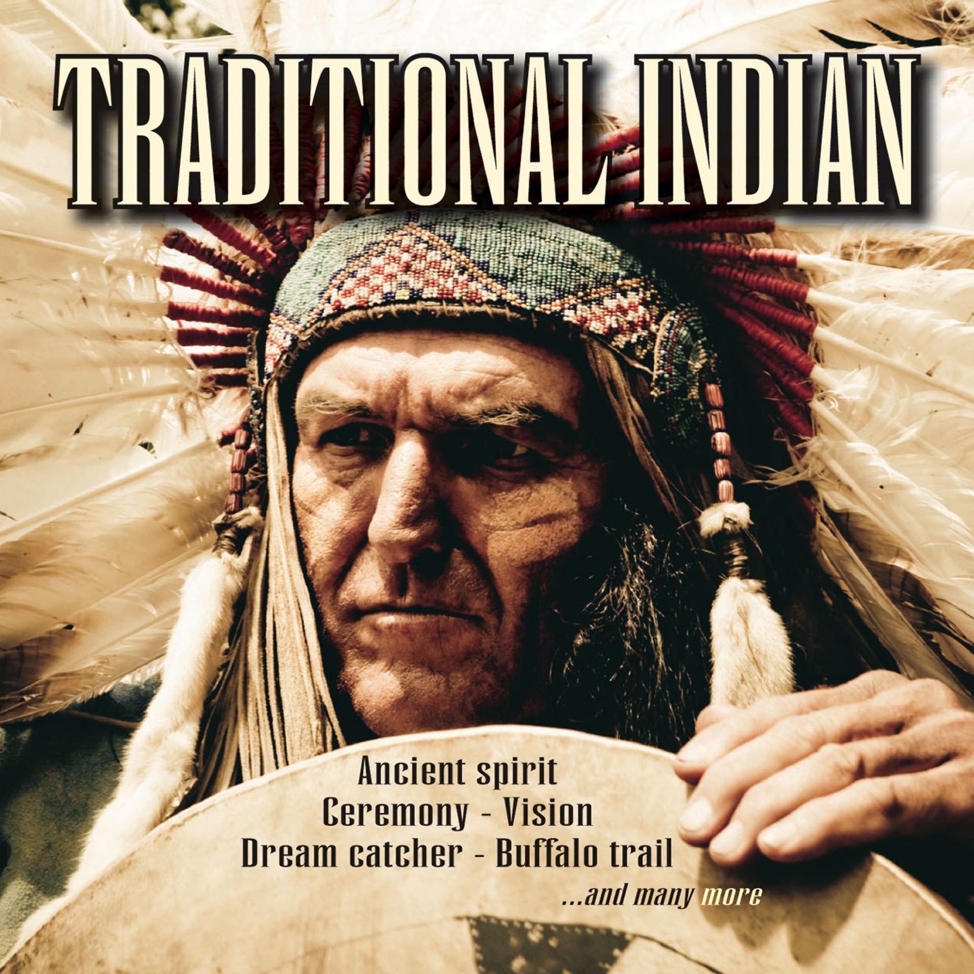 Постер альбома Traditional Indian