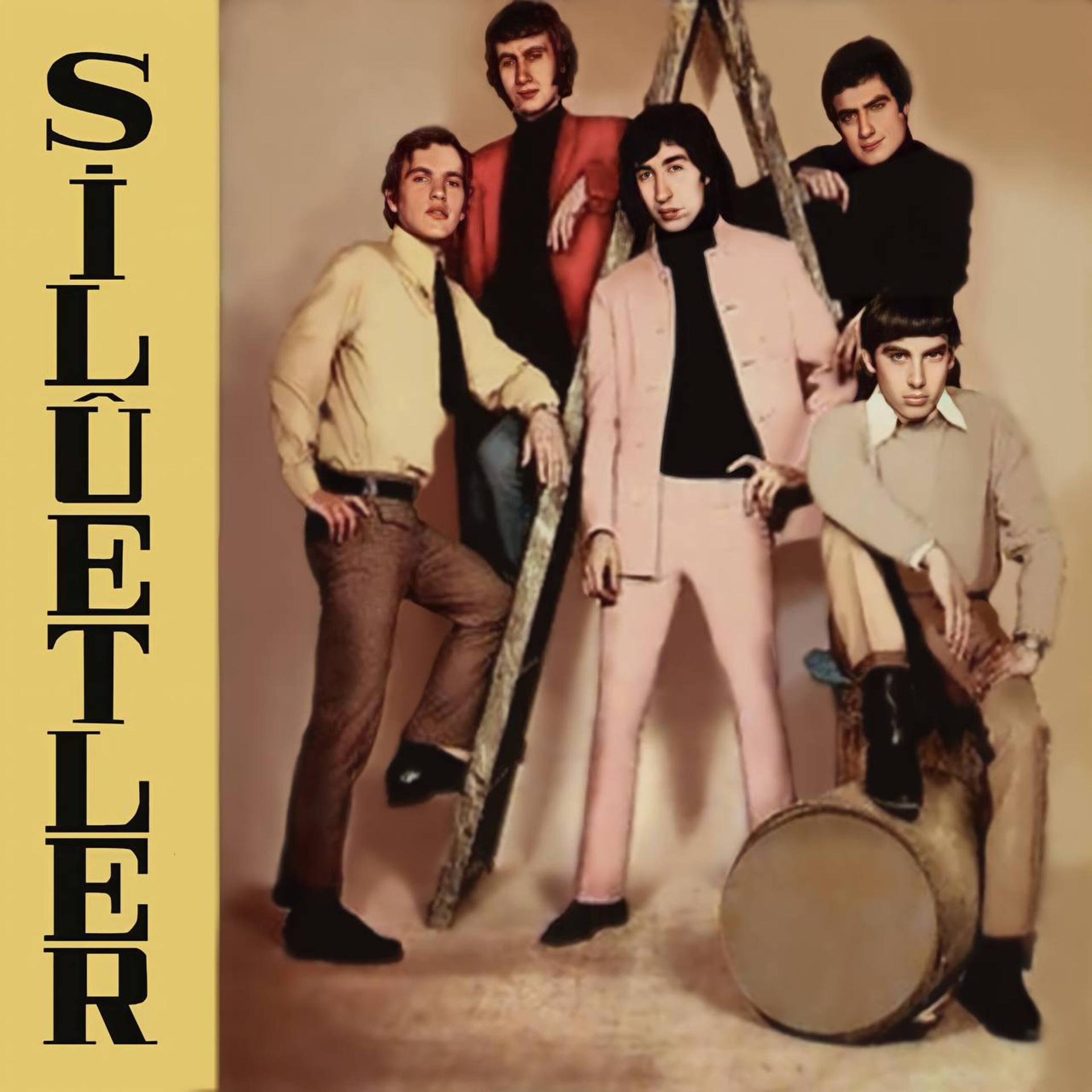 Постер альбома Silüetler