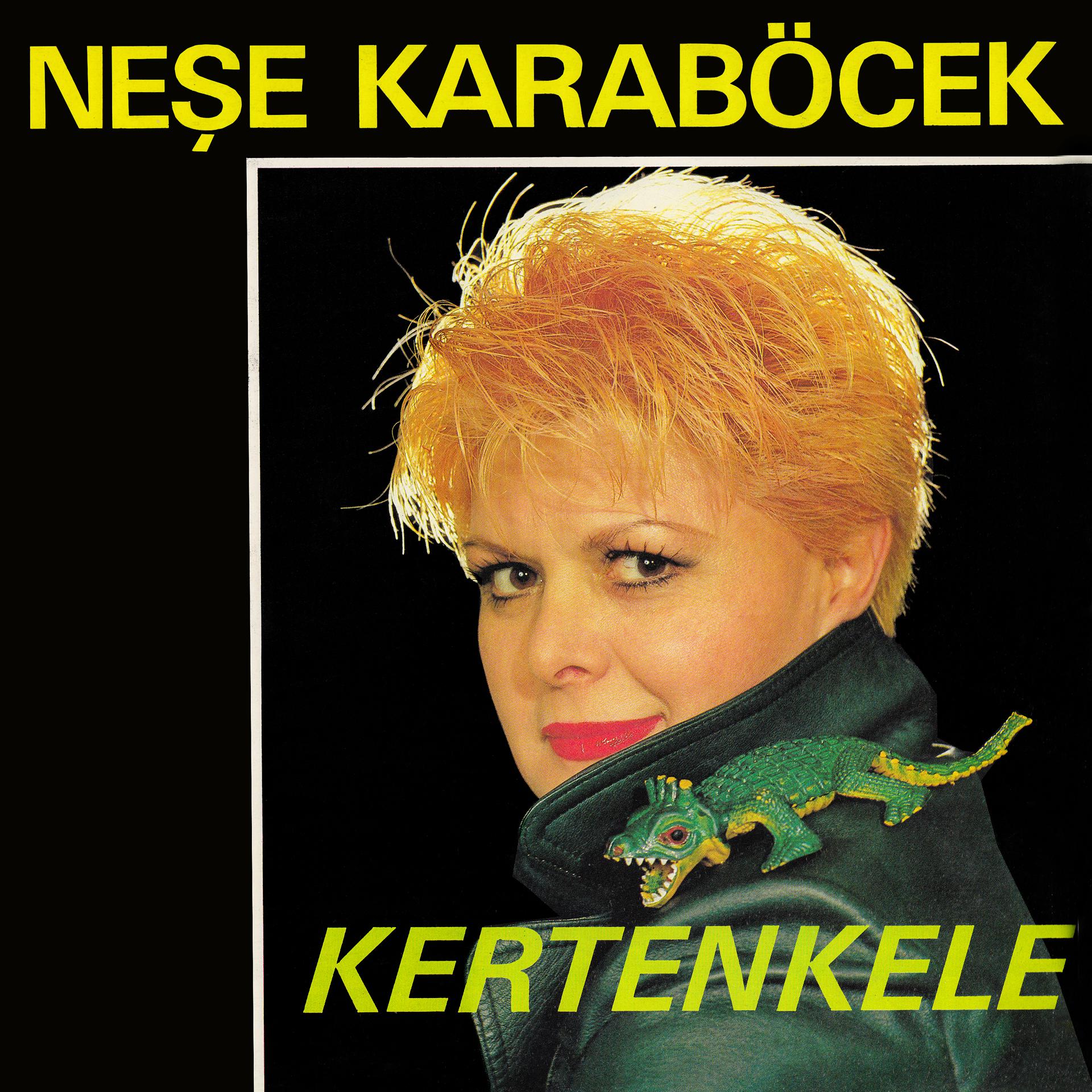 Постер альбома Kertenkele