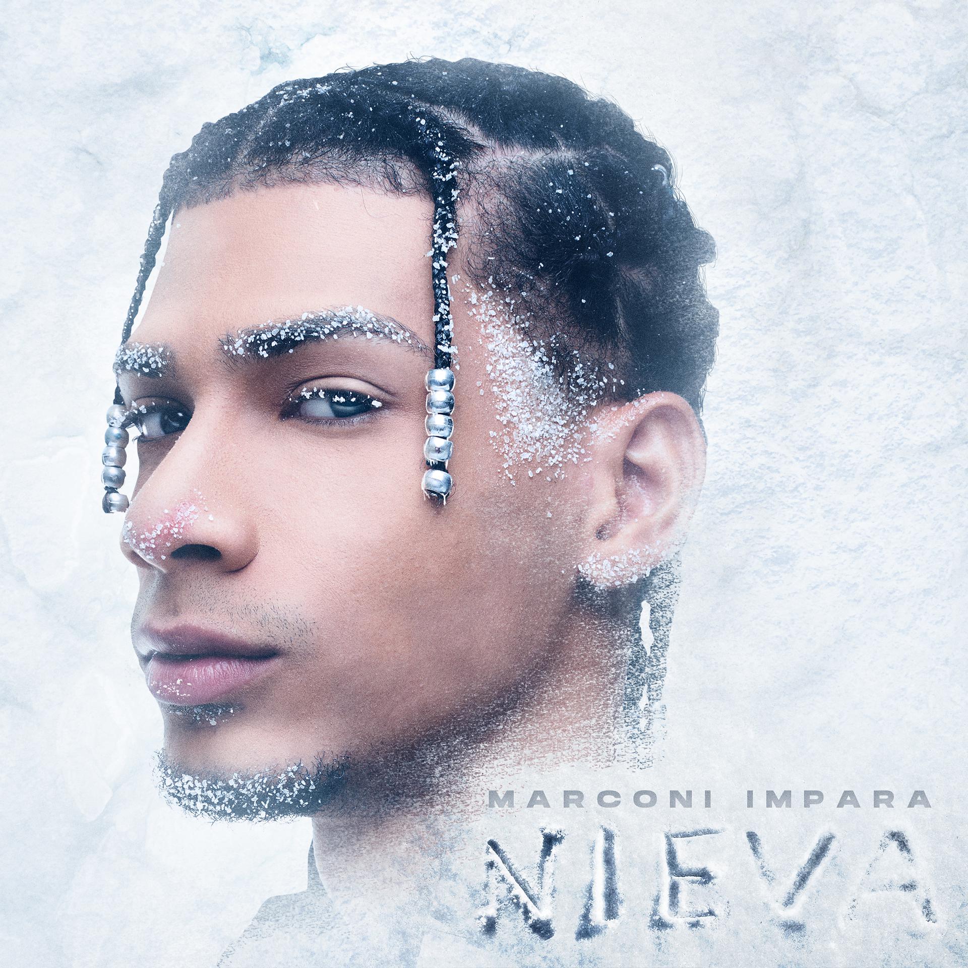 Постер альбома Nieva