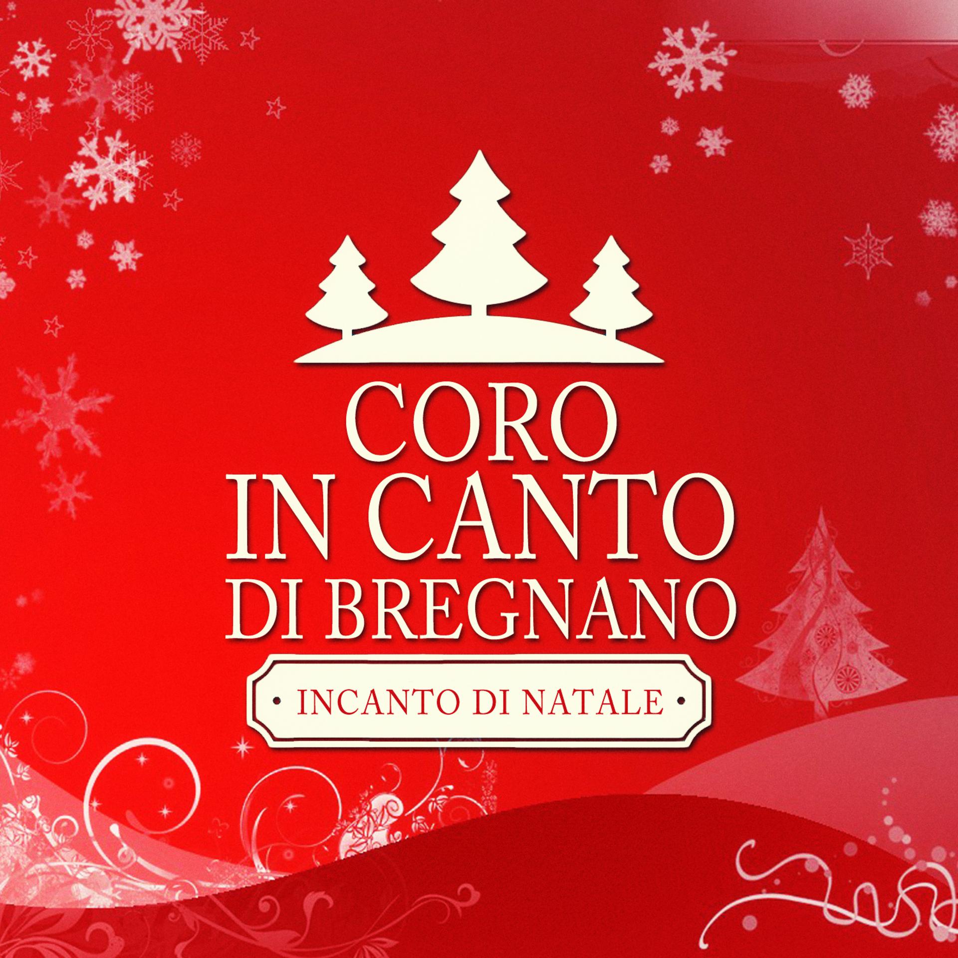 Постер альбома Incanto Di Natale