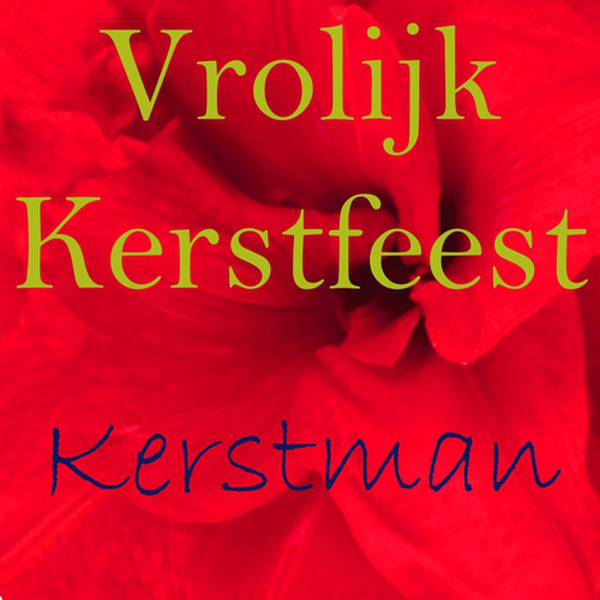 Постер альбома Vrolijk kerstfeest