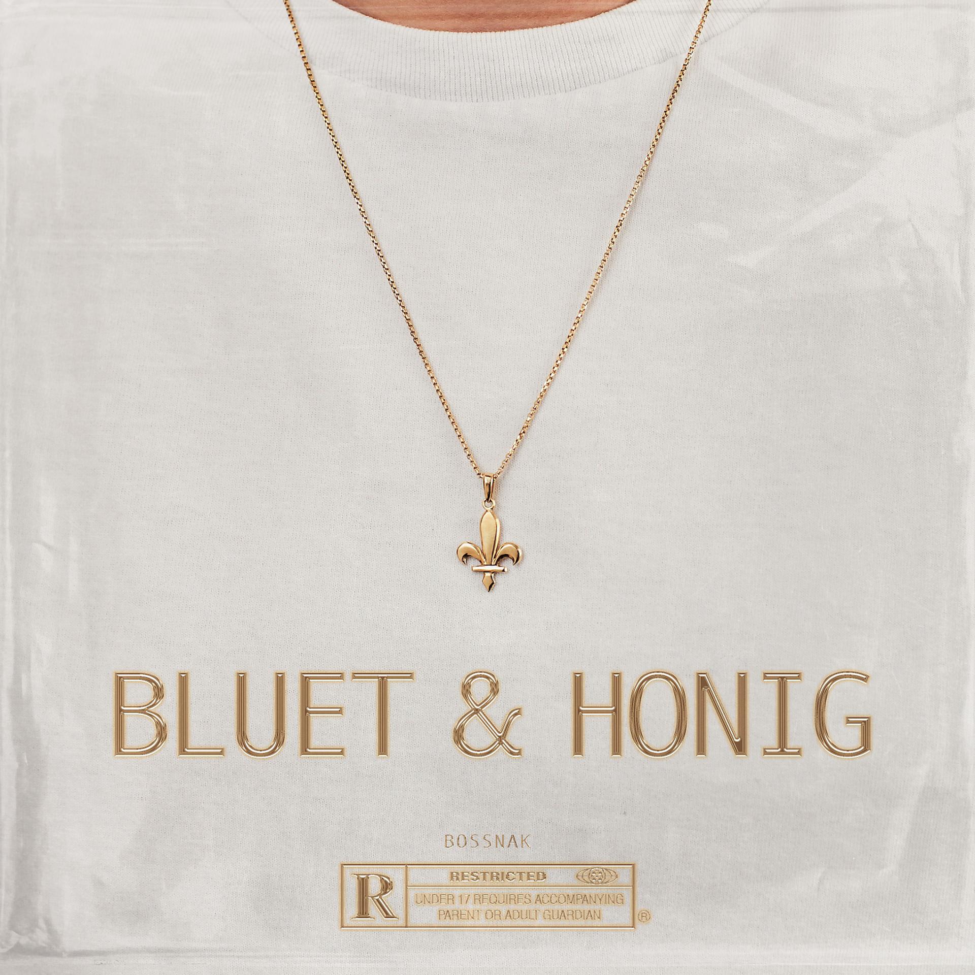 Постер альбома Bluet & Honig