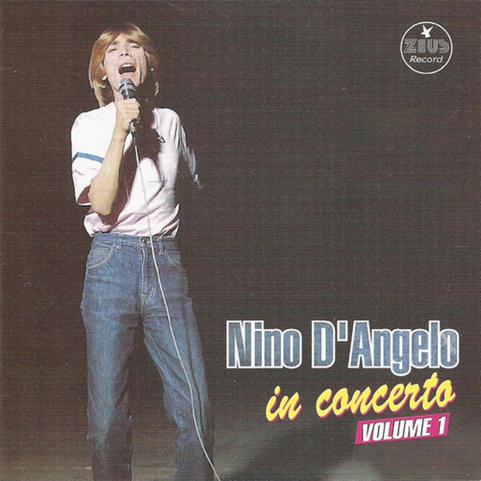 Постер альбома Nino D'Angelo in concerto, vol. 1