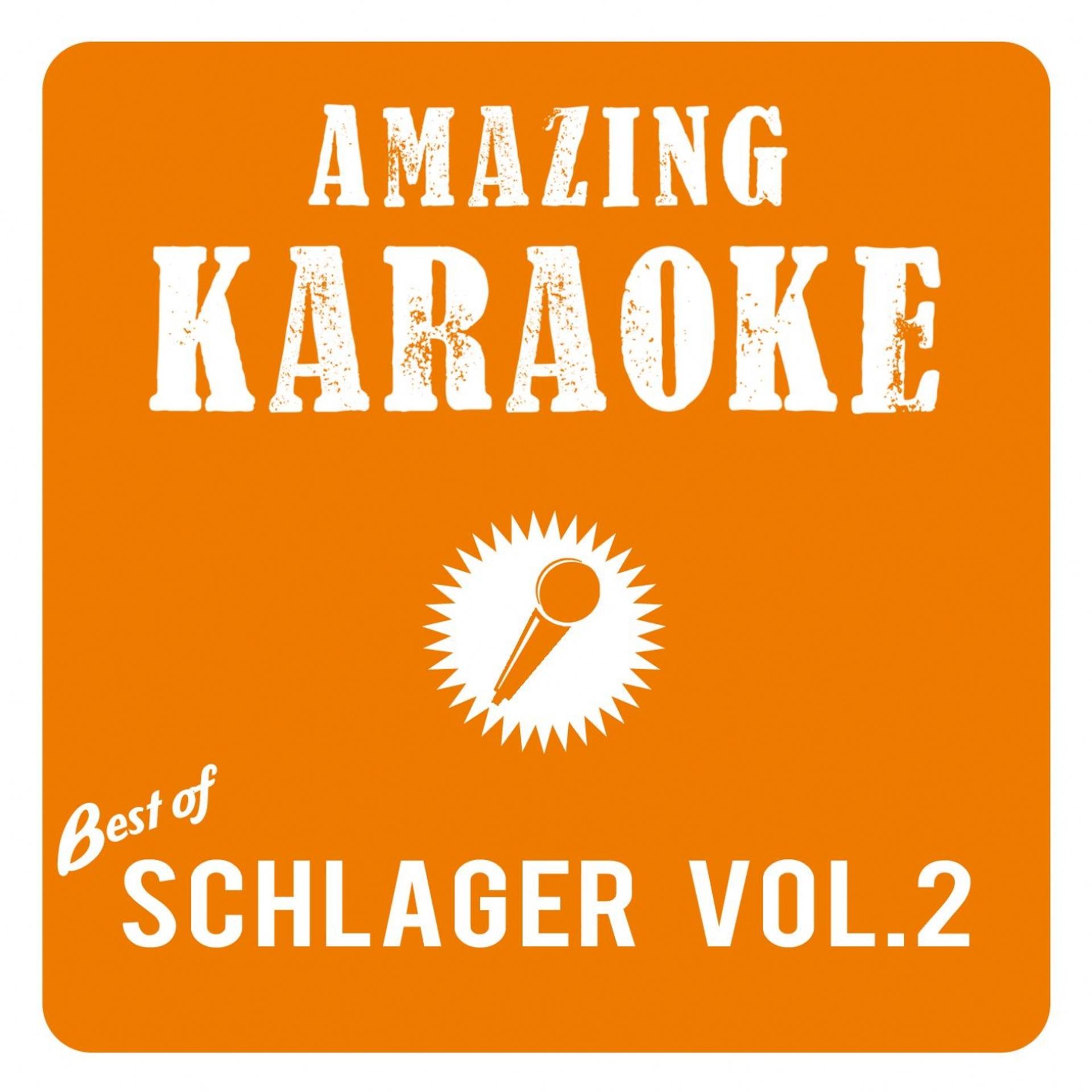 Постер альбома Best of Schlager, Vol. 2