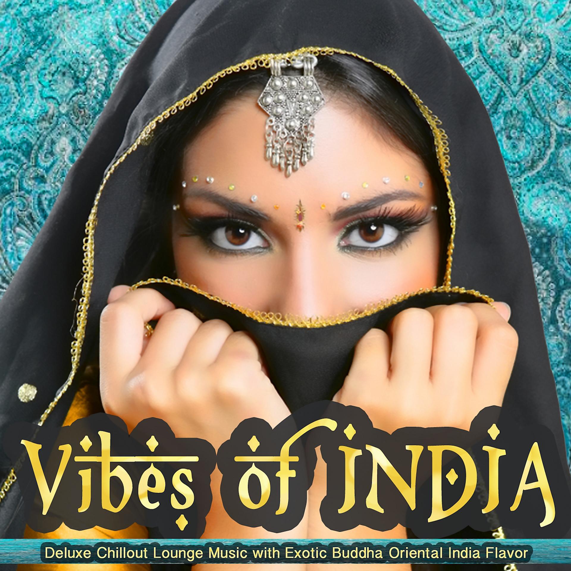 Постер альбома Vibes of India