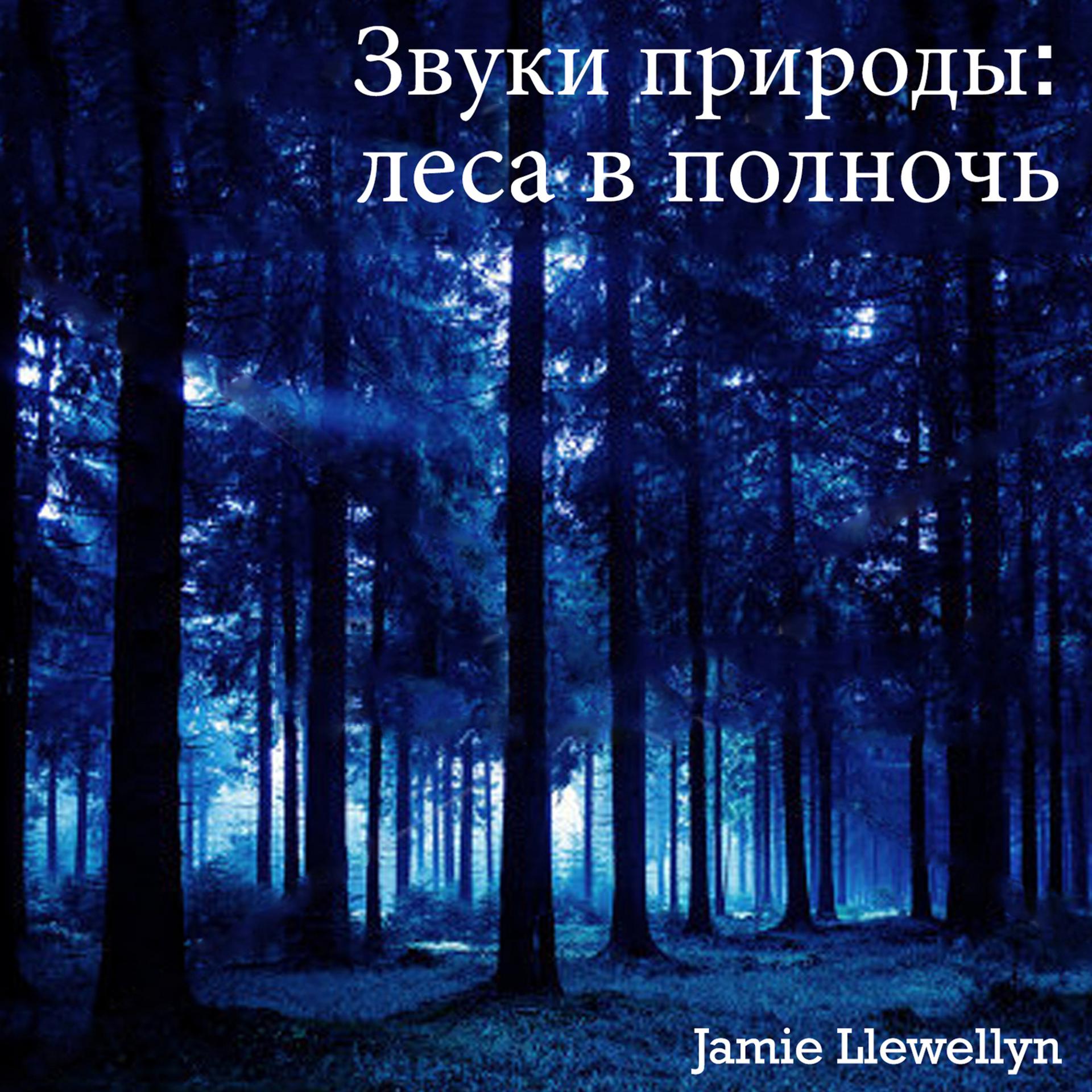 Постер альбома Звуки природы:  леса в полночь