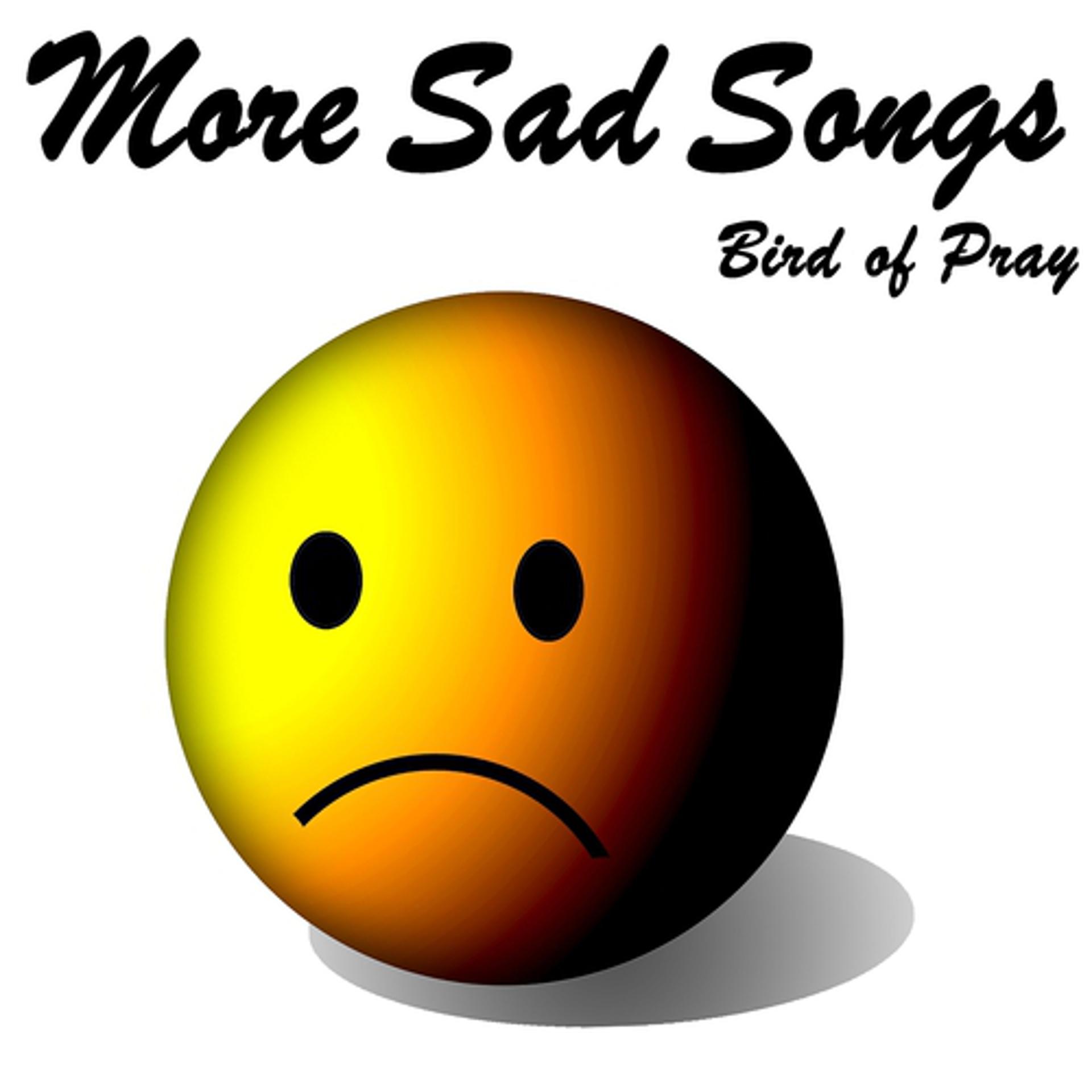 Постер альбома More Sad Songs