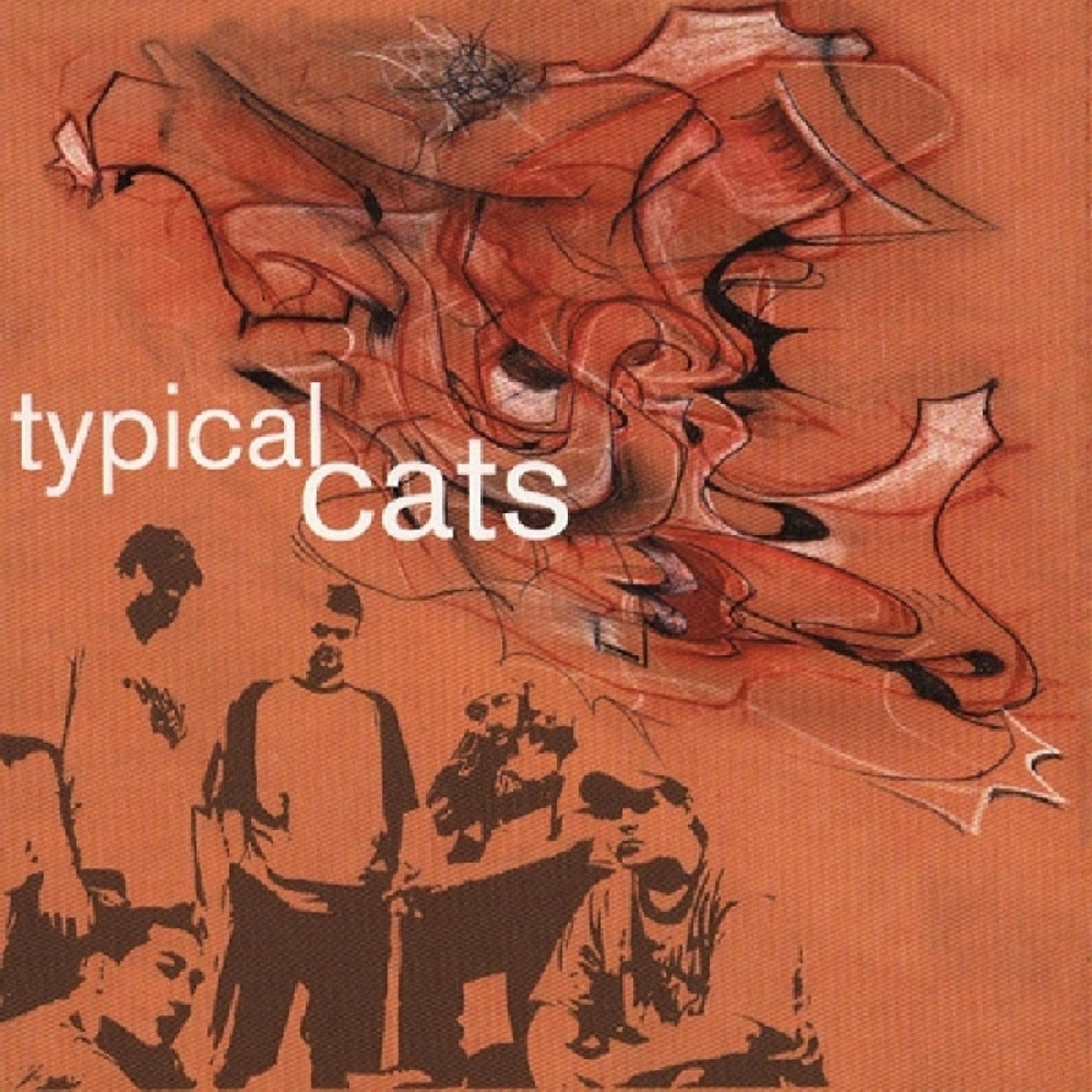 Постер альбома Typical Cats