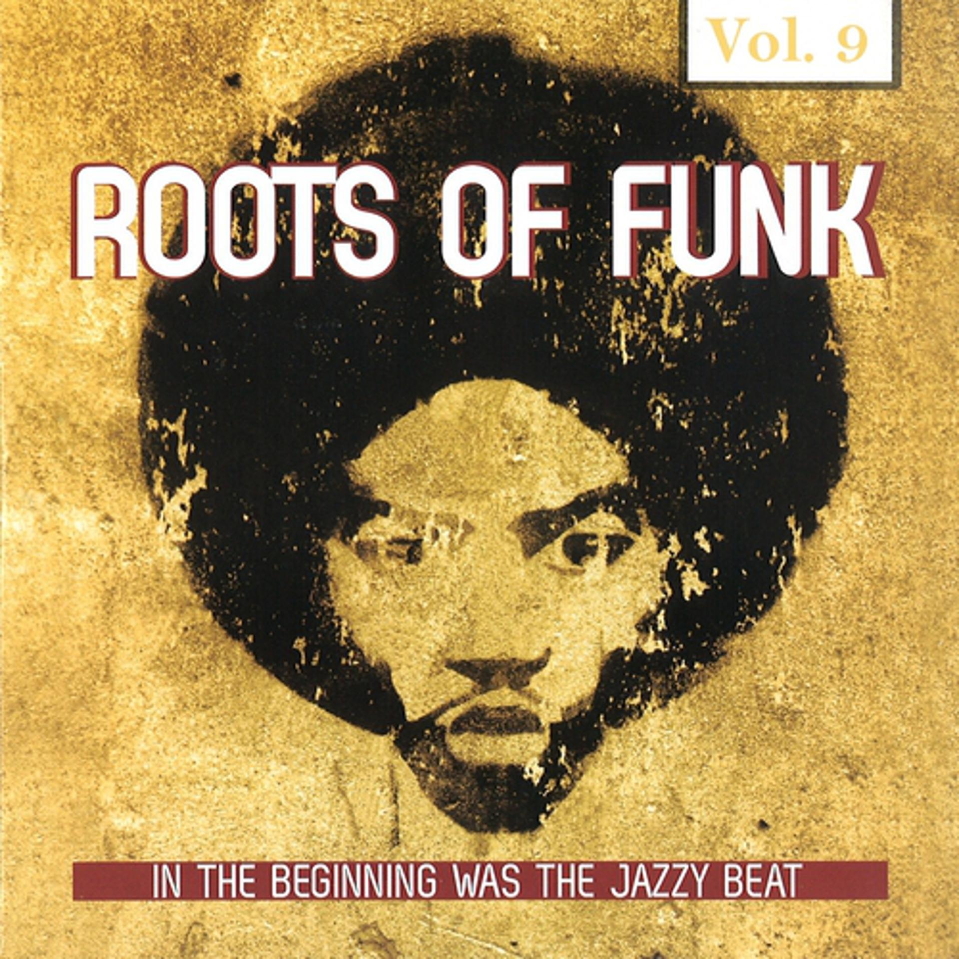 Постер альбома Roots of Funk, Vol. 9
