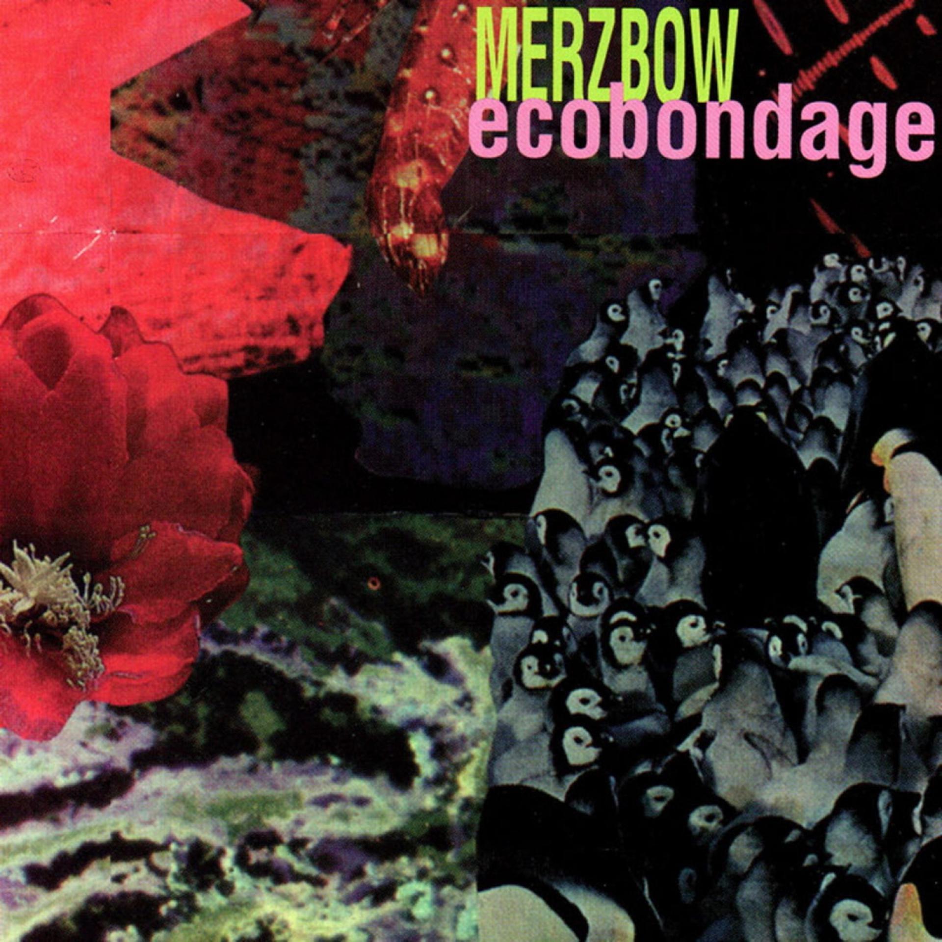 Постер альбома Ecobondage