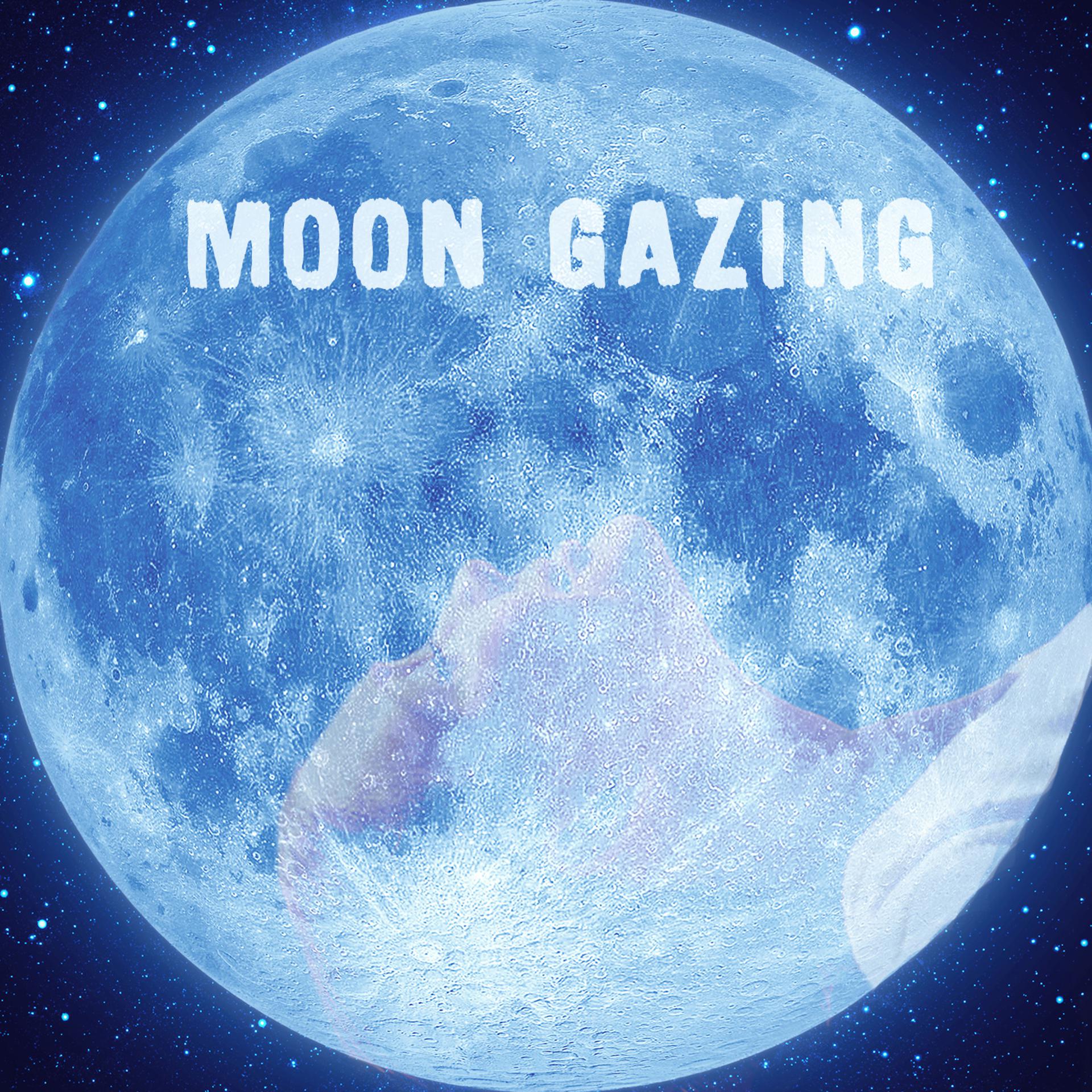 Постер альбома Moon Gazing