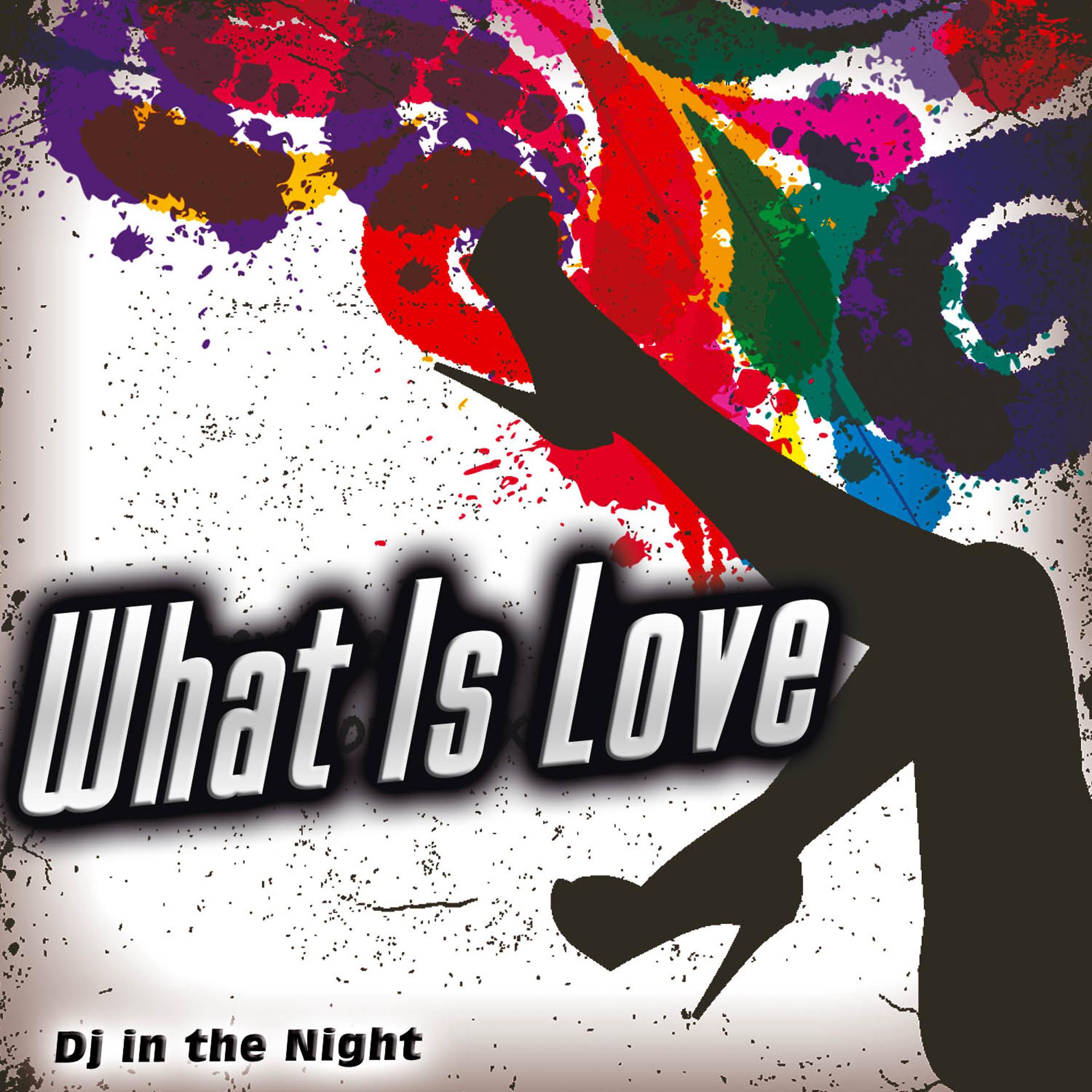 Постер альбома What Is Love - Single
