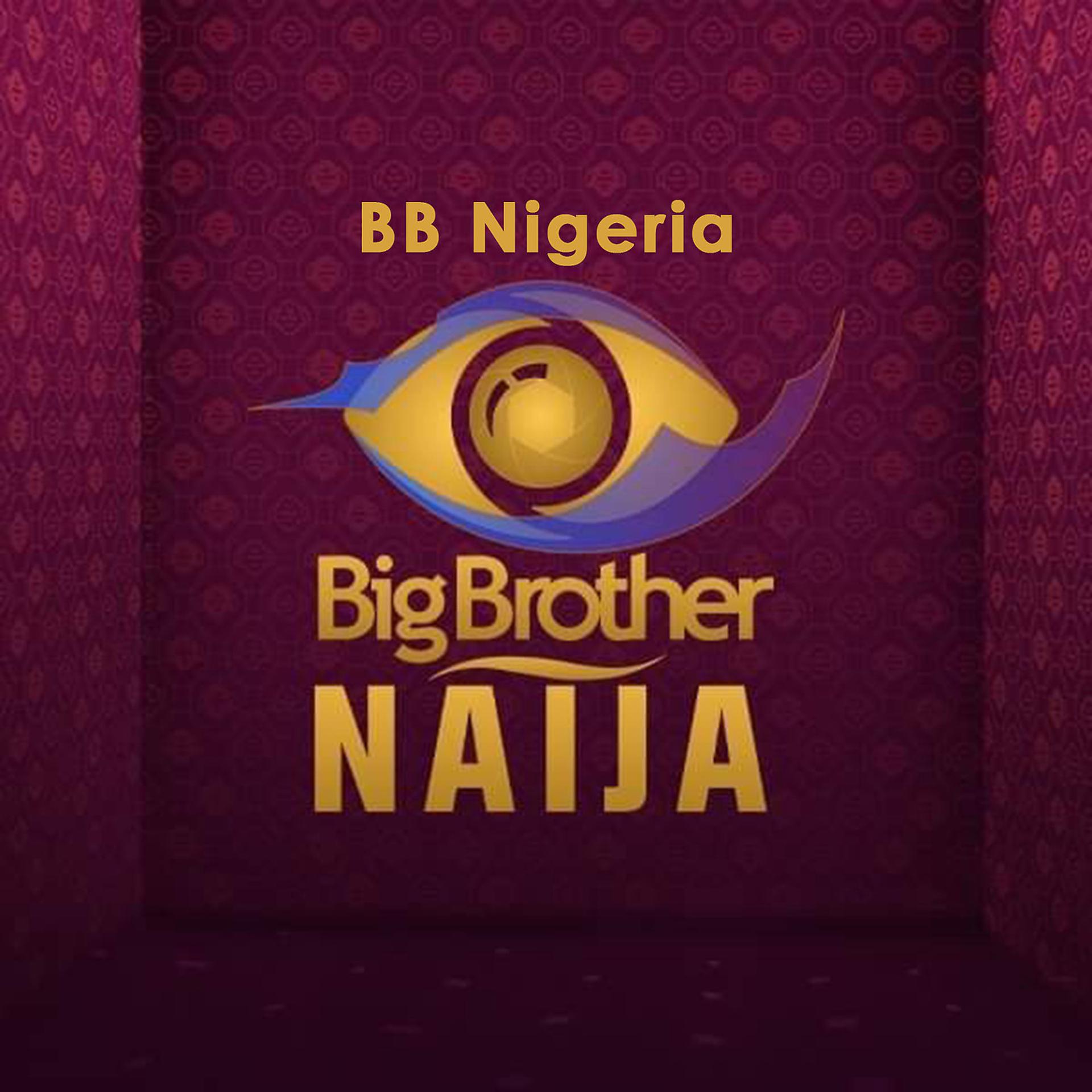 Постер альбома Big Brother Naija