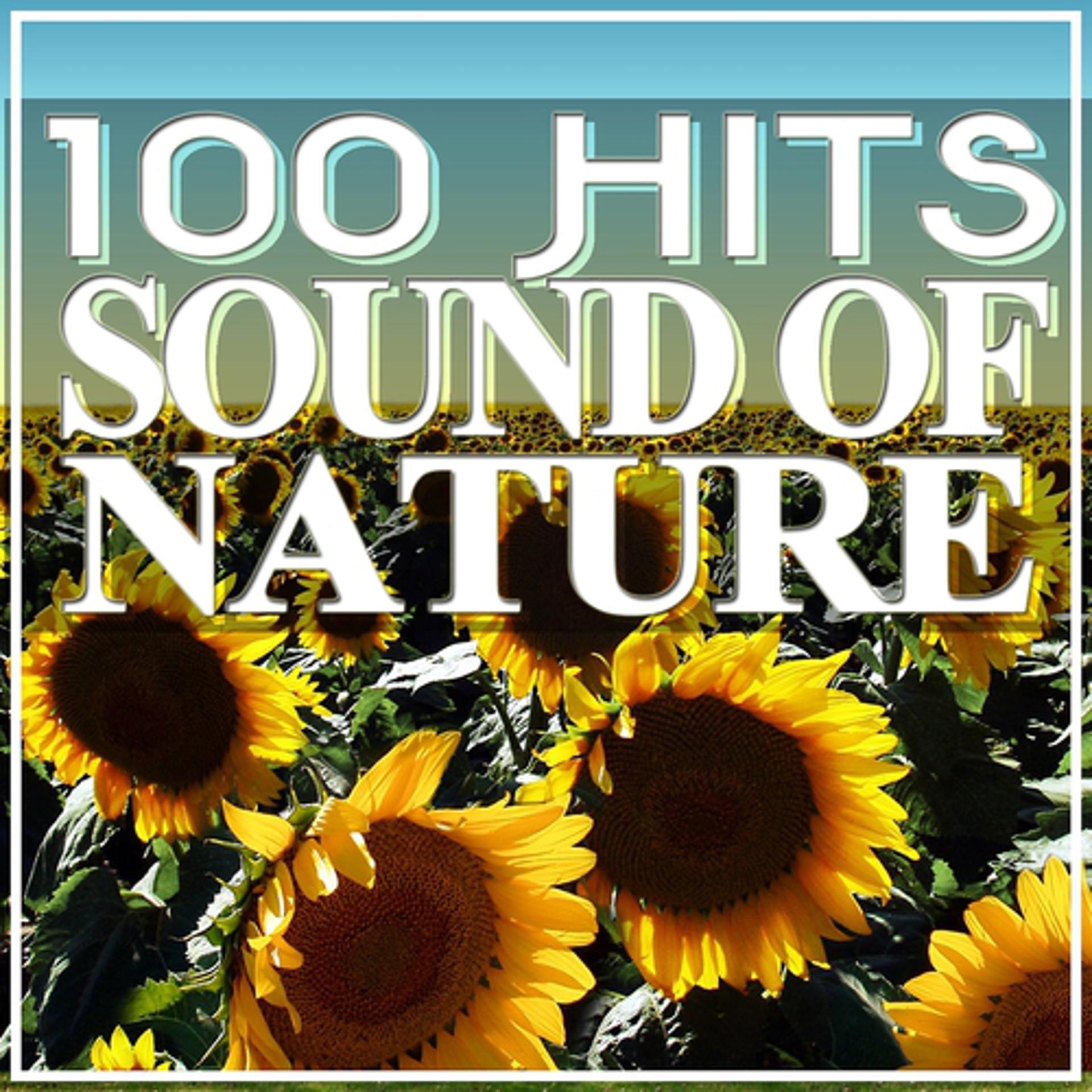 Постер альбома 100 Hits Sound of Nature
