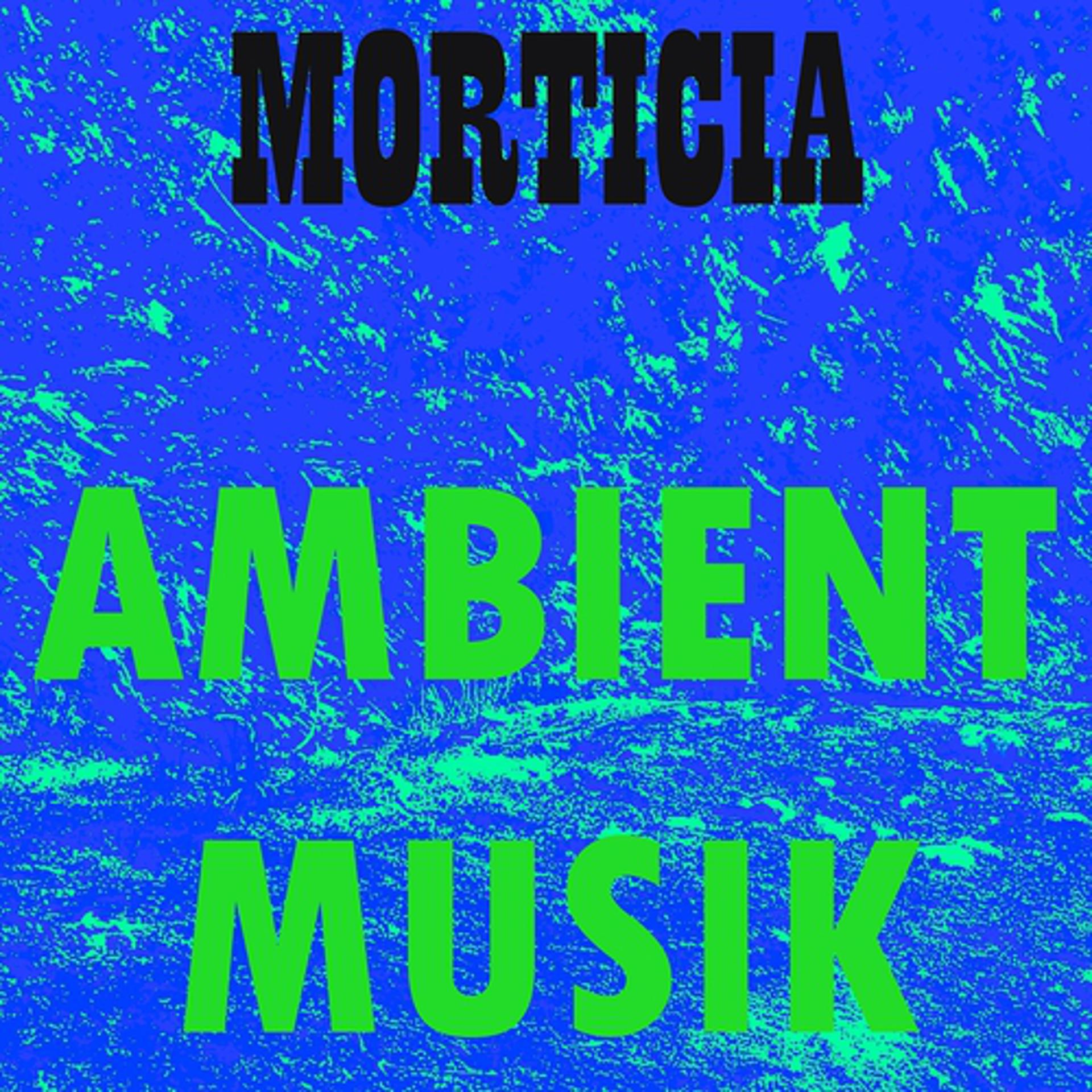 Постер альбома Ambient Musik