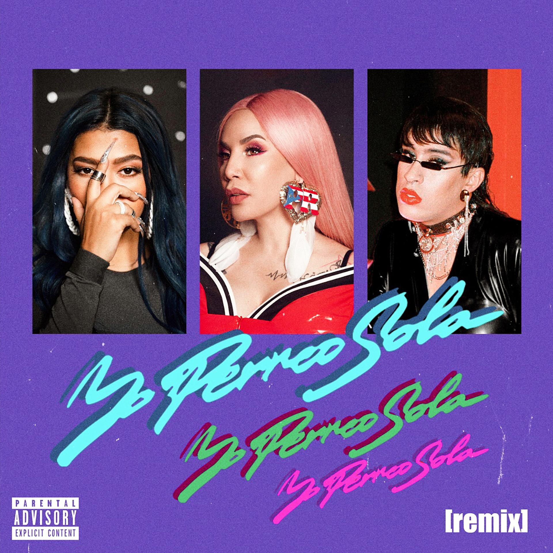 Постер альбома Yo Perreo Sola (Remix)
