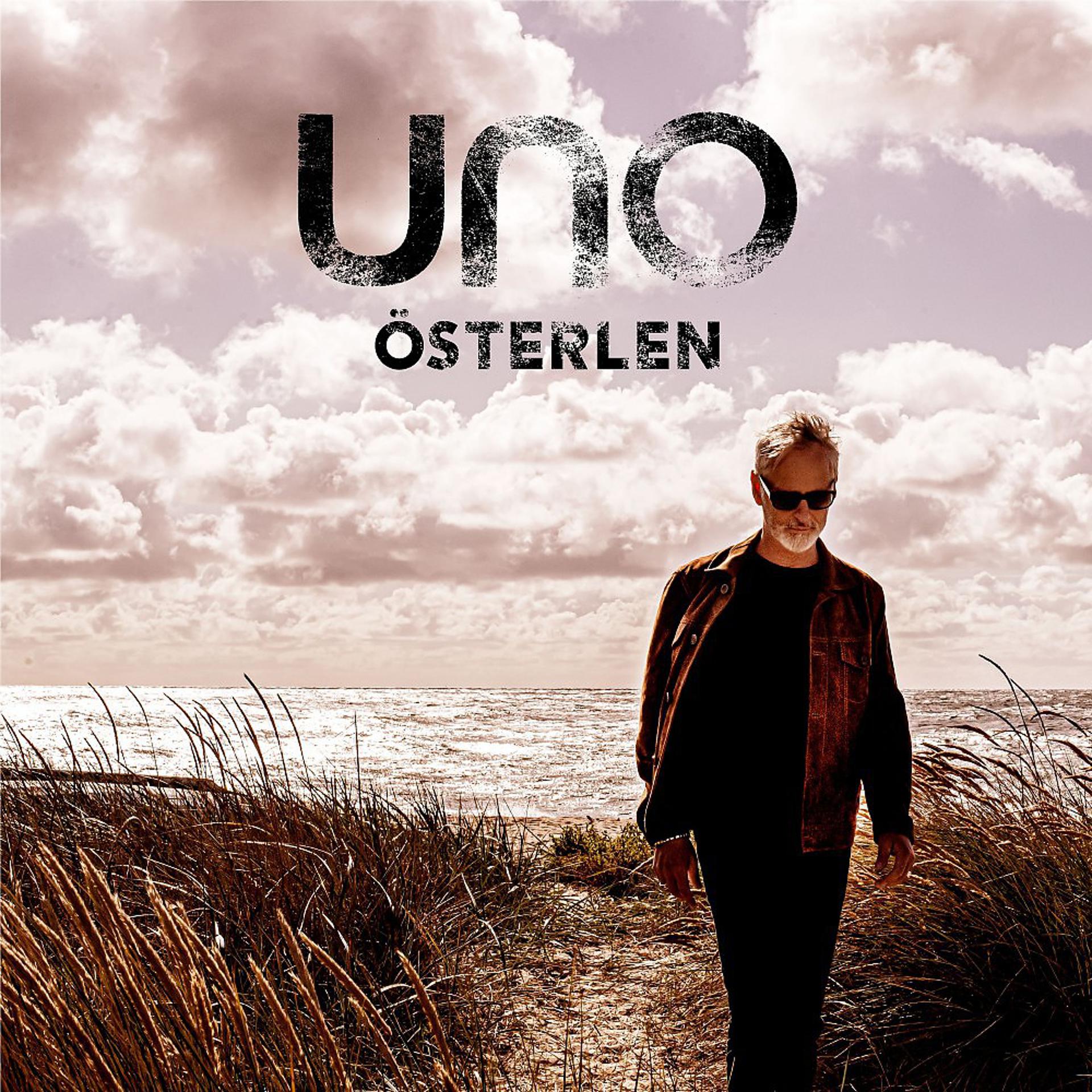 Постер альбома Österlen