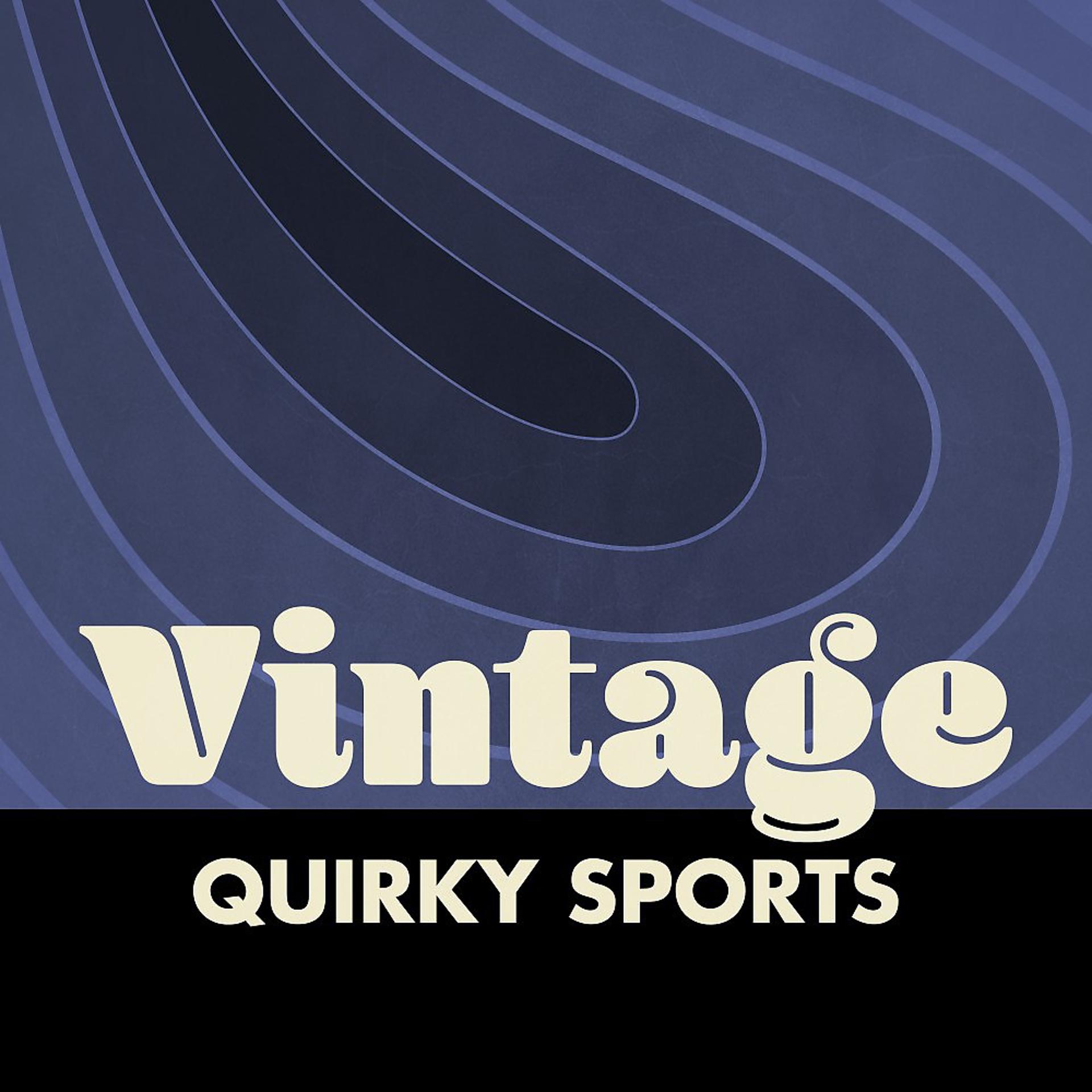 Постер альбома Vintage Sports