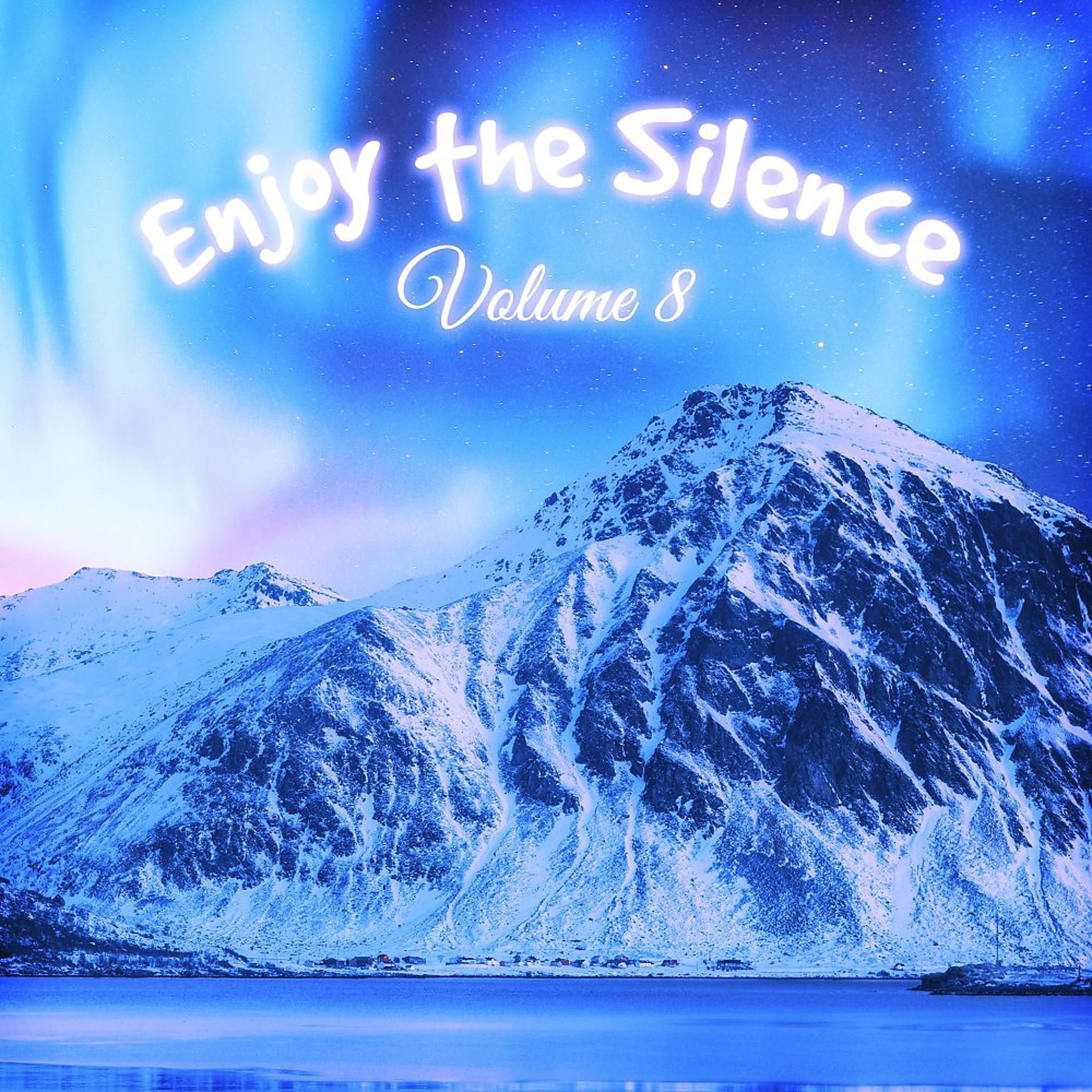 Постер альбома Enjoy the Silence, Vol. 8