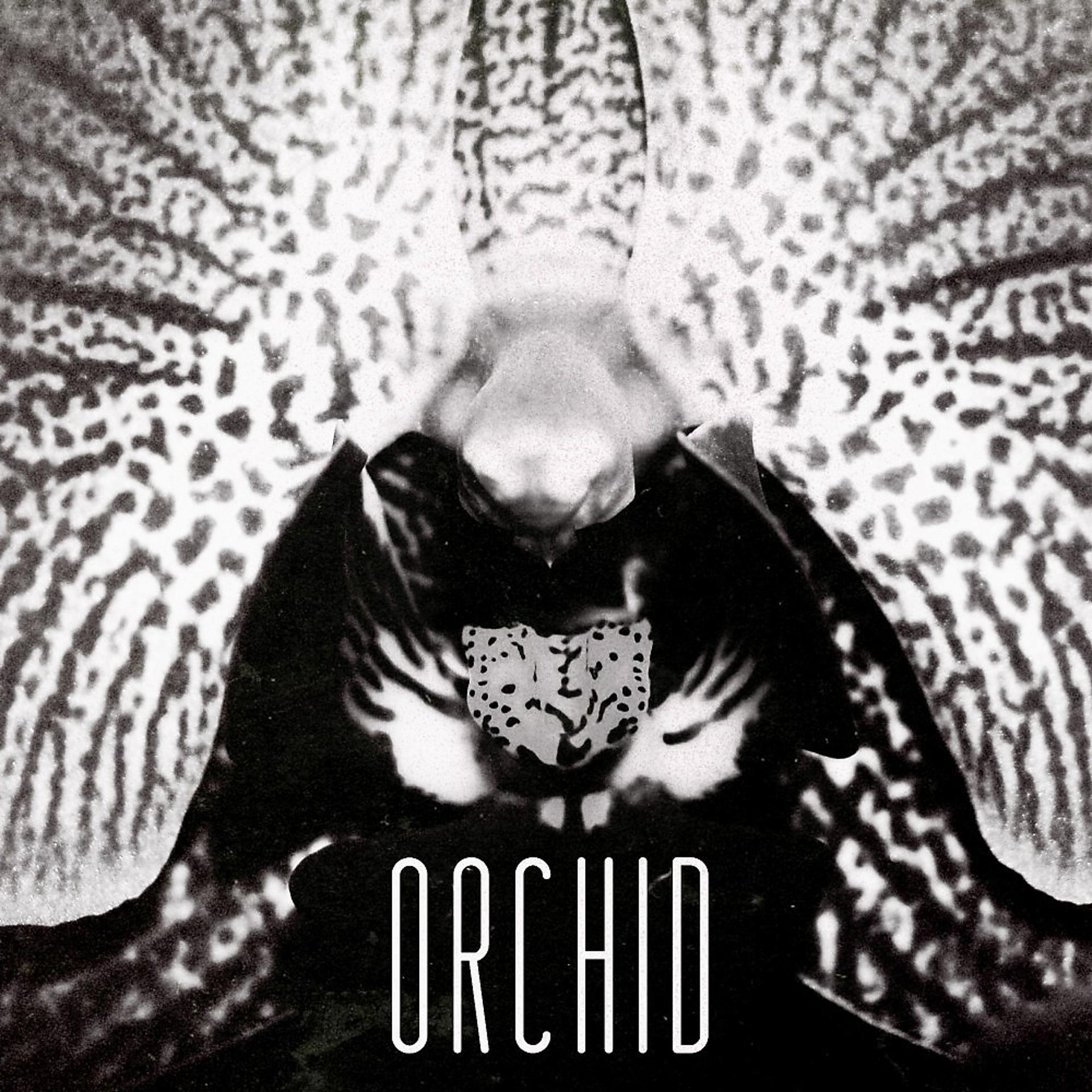 Постер альбома Orchid
